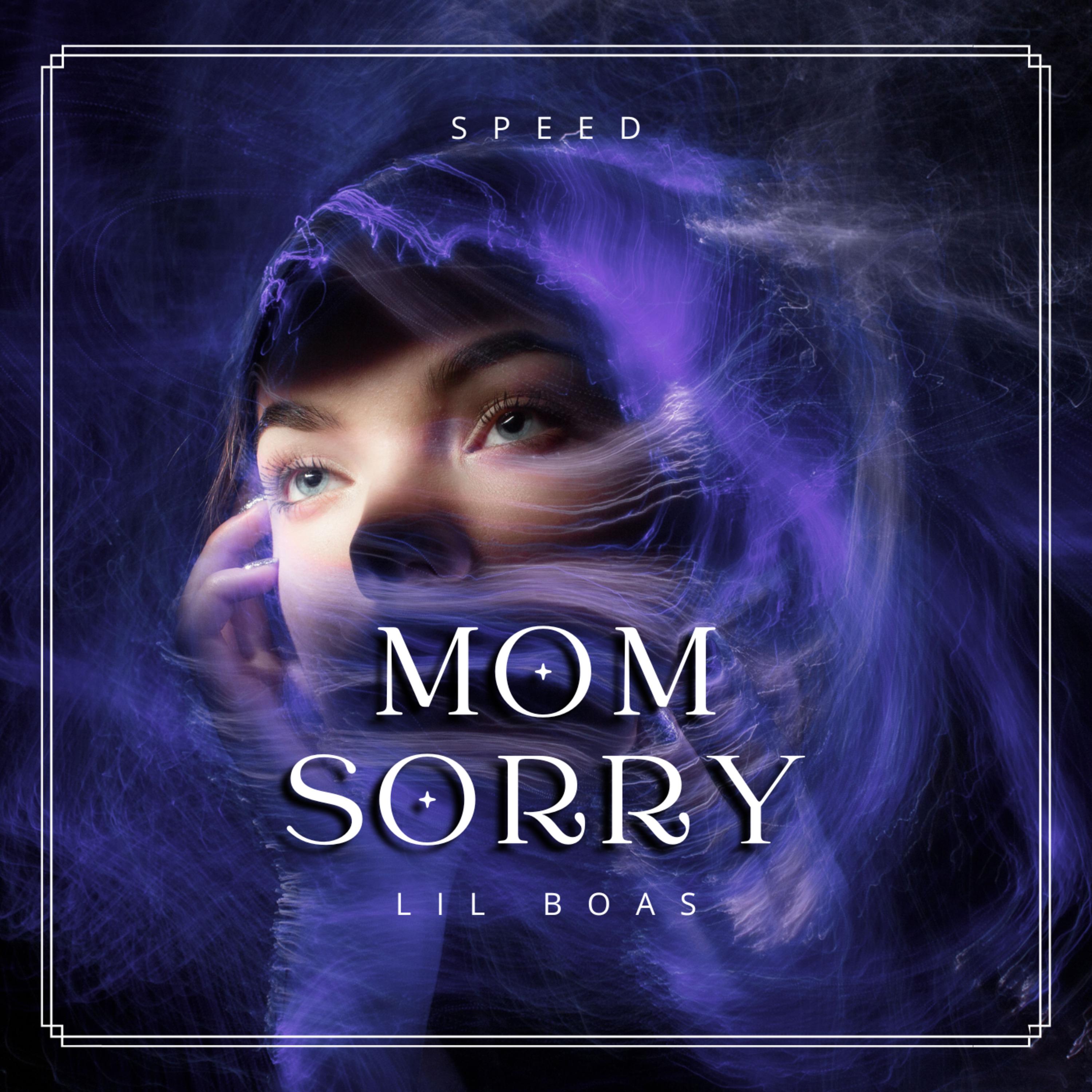 Постер альбома Mom Sorry