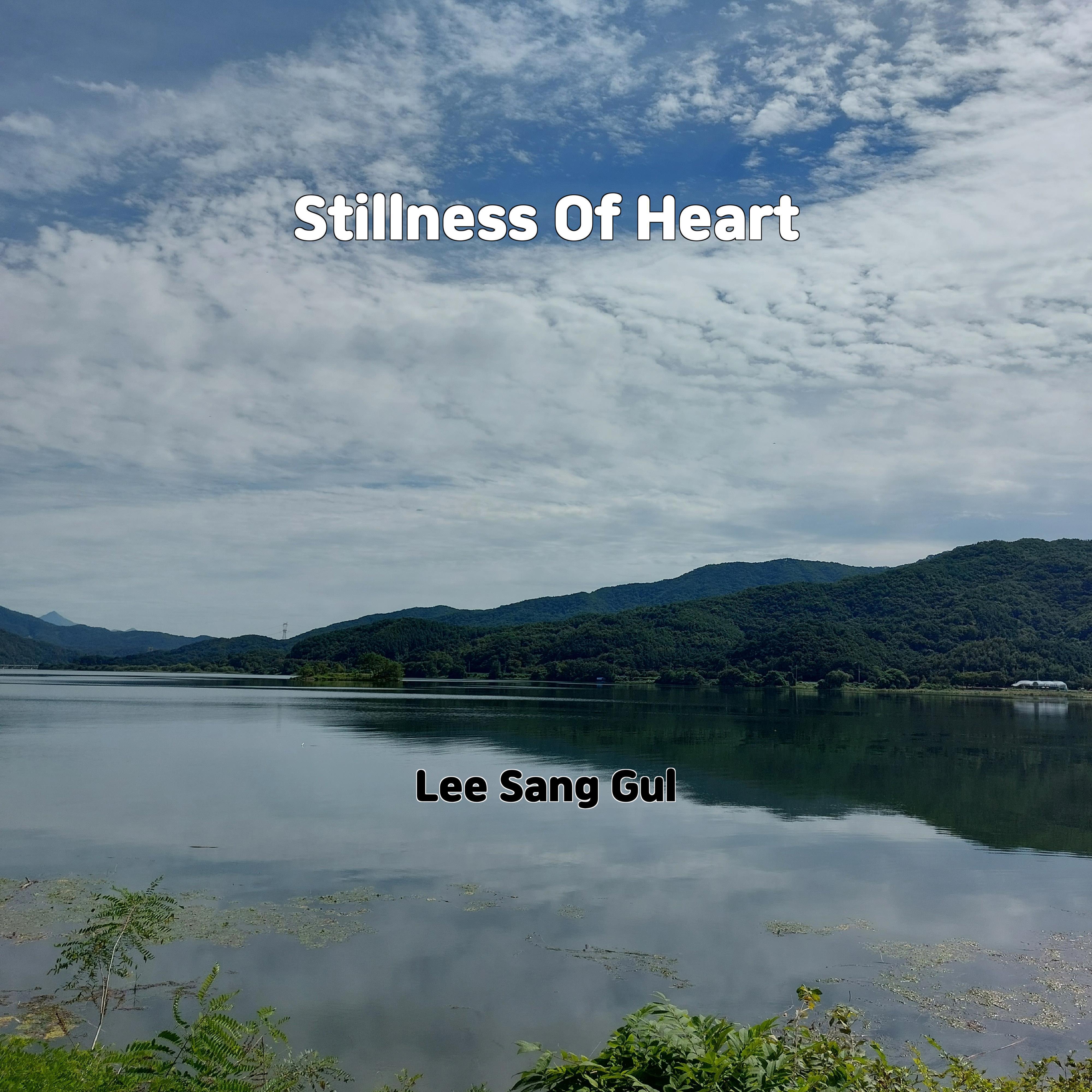 Постер альбома Stillness Of Heart
