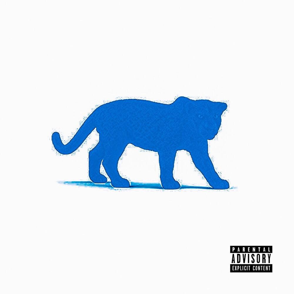 Постер альбома Blue Panther