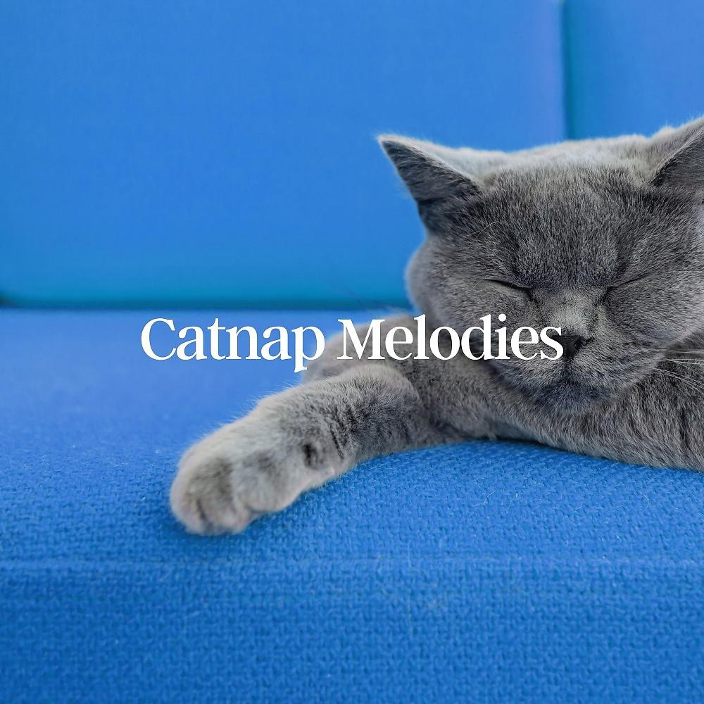 Постер альбома Catnap Melodies