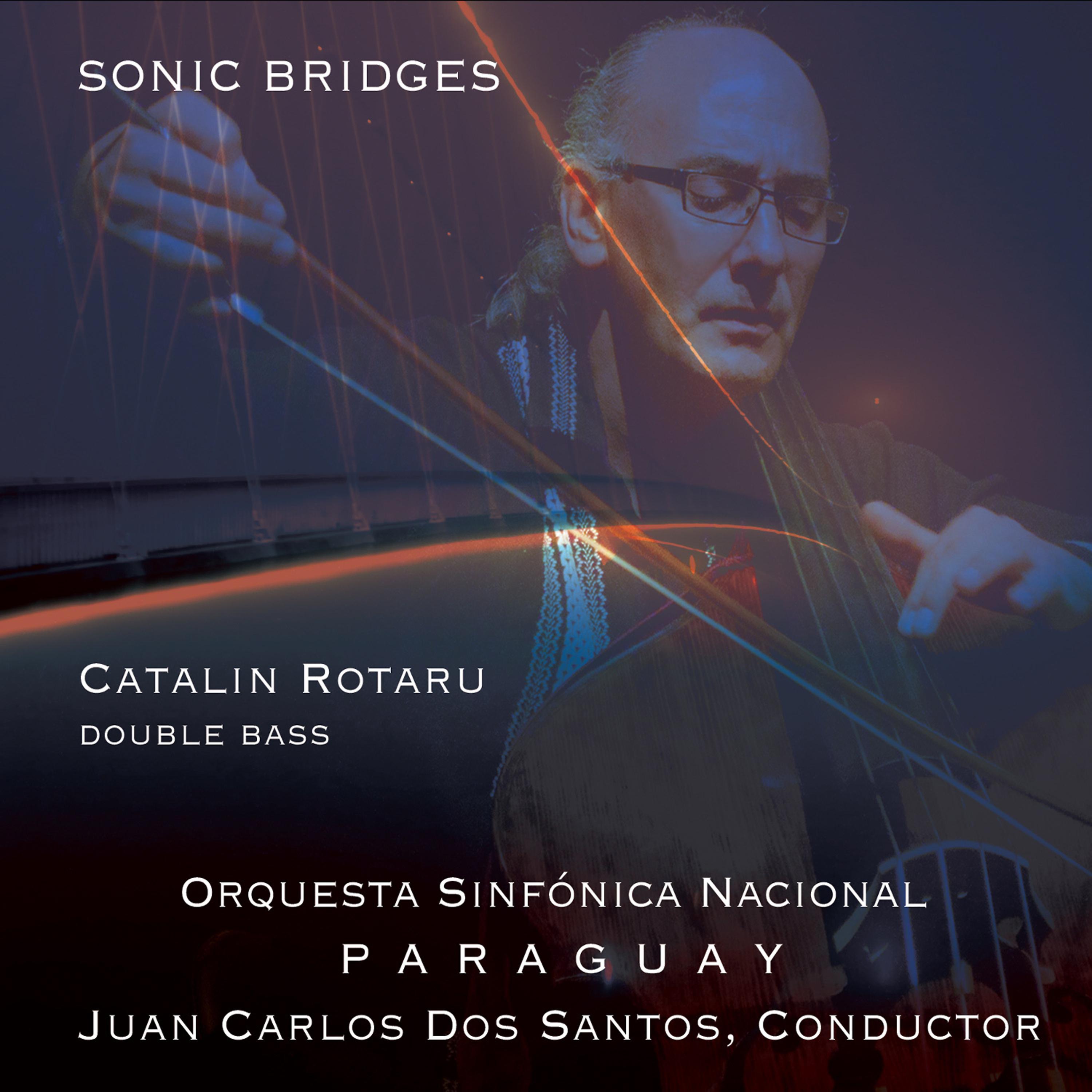 Постер альбома Sonic Bridges
