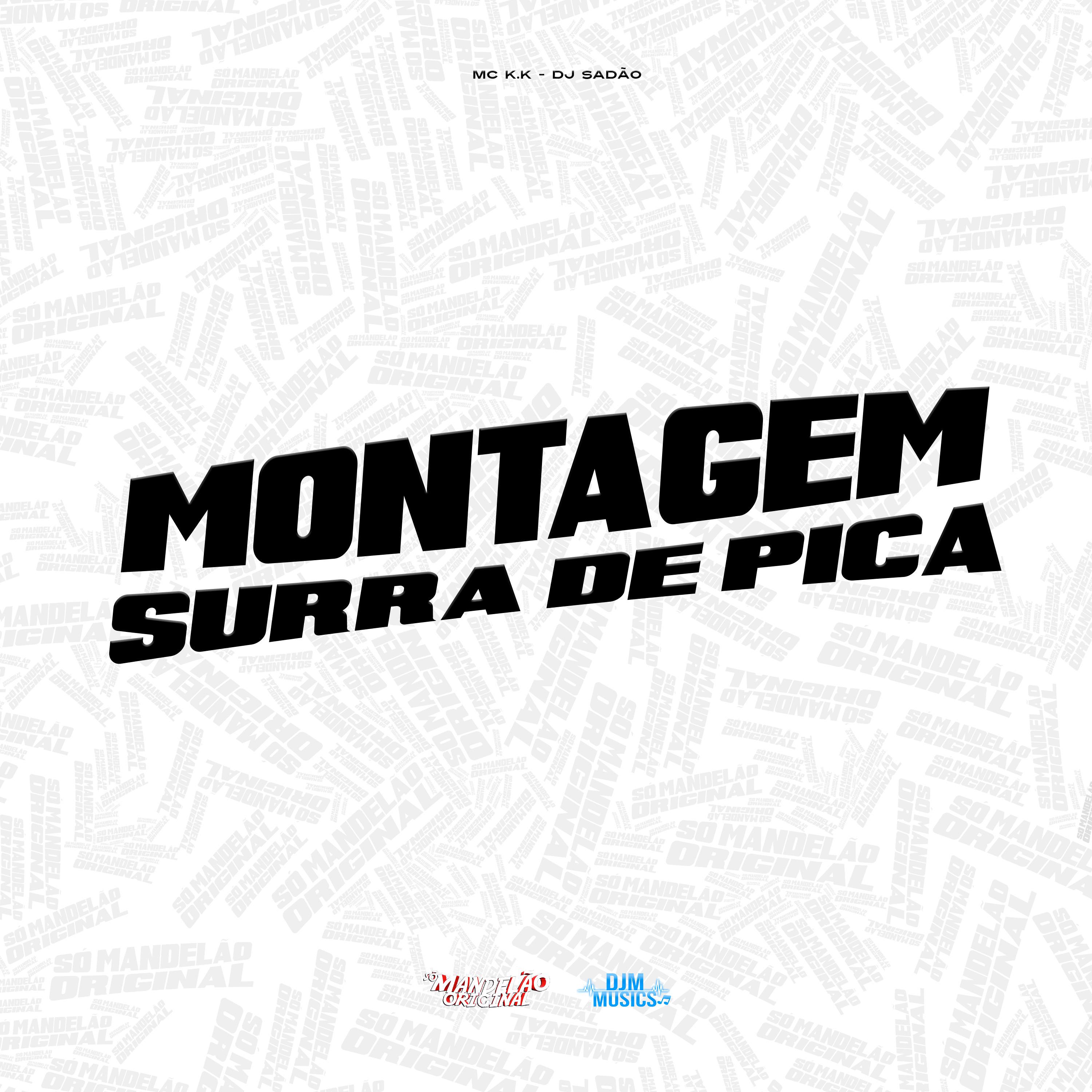 Постер альбома Montagem Surra de Pica