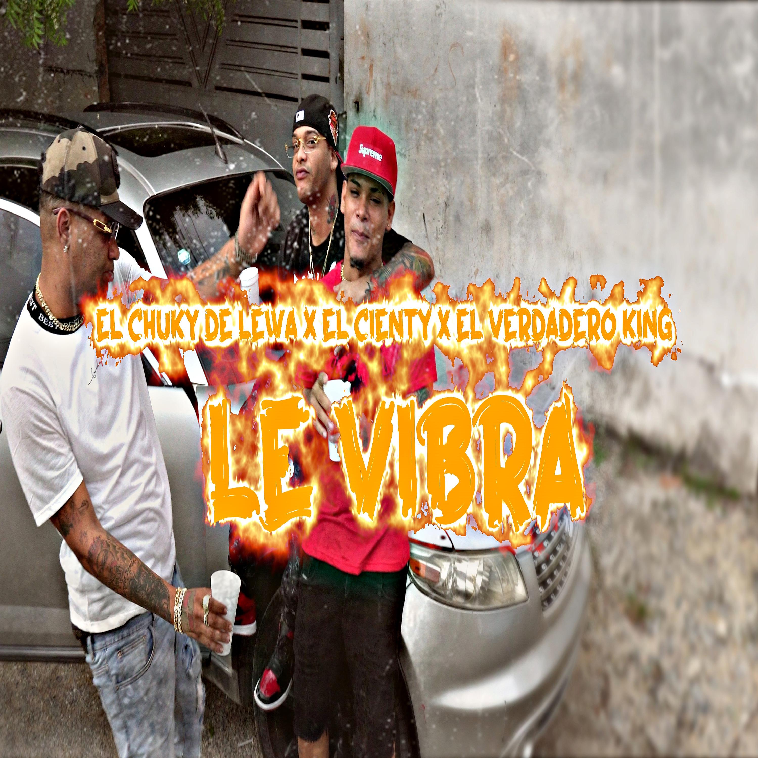 Постер альбома Le Vibra