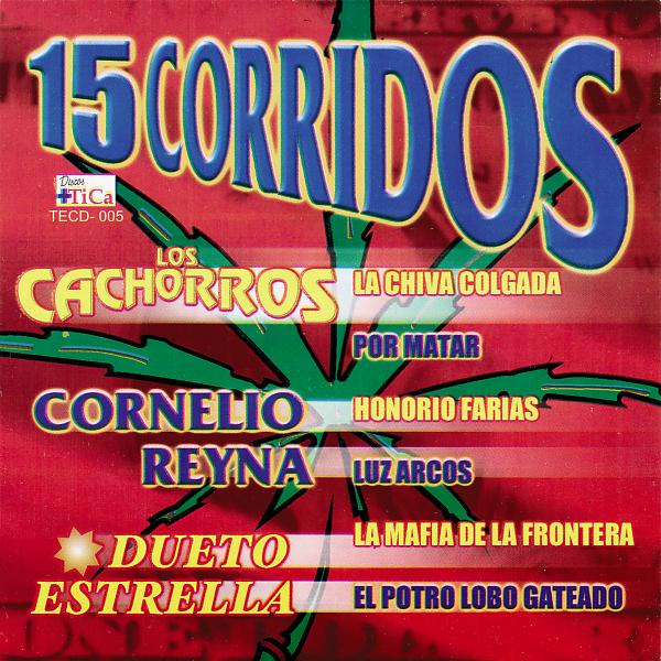 Постер альбома 15 Corridos