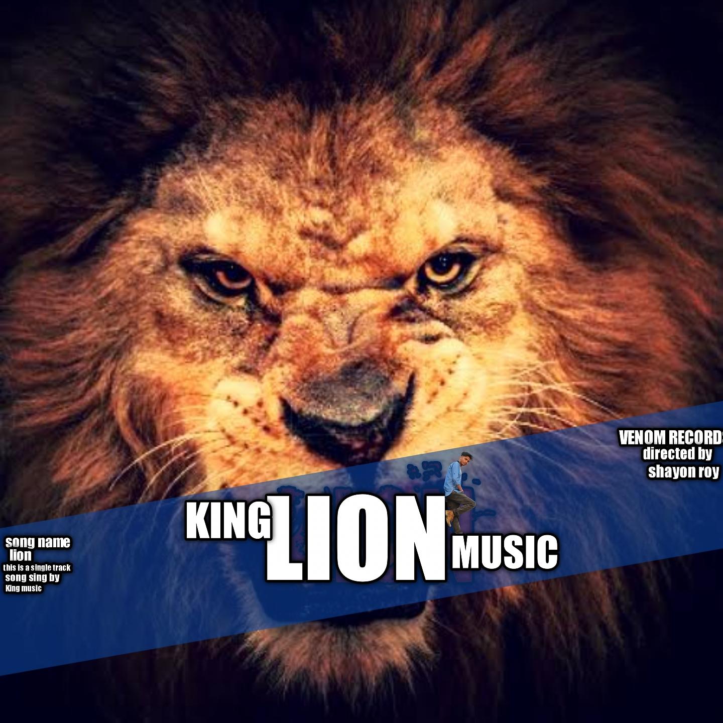 Постер альбома Lion