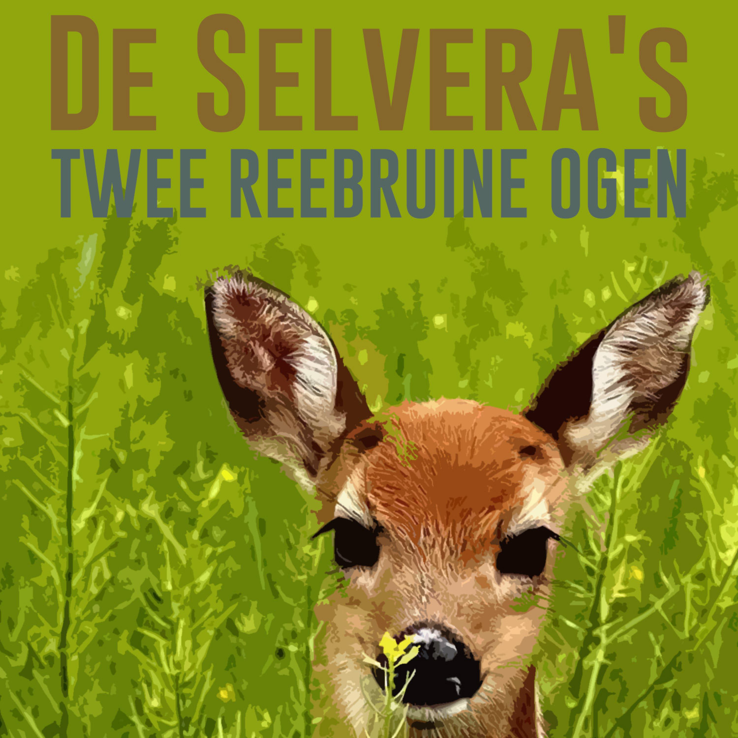 Постер альбома Twee Reebruine Ogen