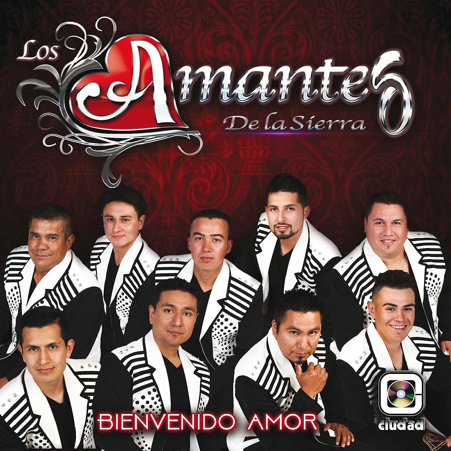 Постер альбома Bienvenido Amor