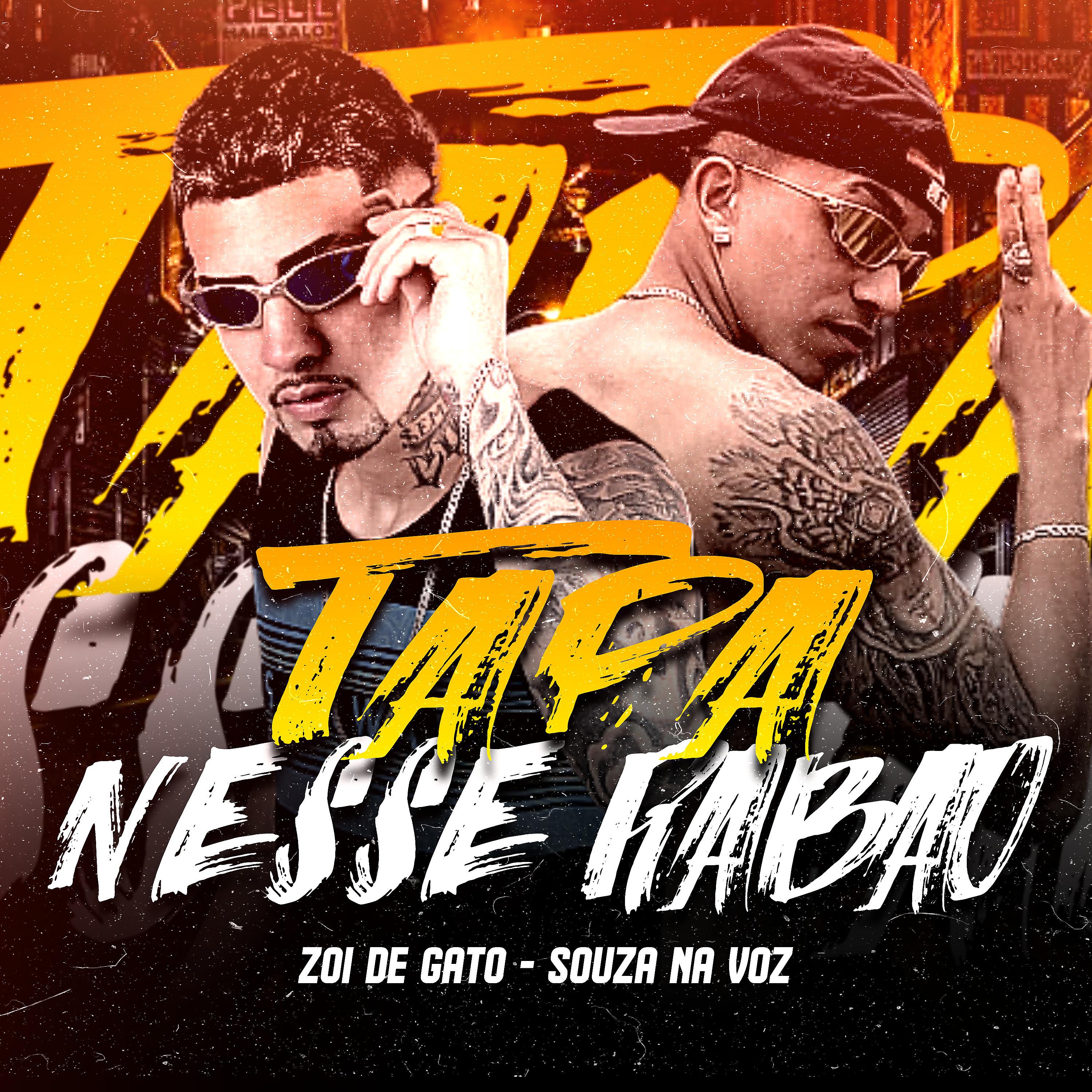 Постер альбома Tapa Nesse Rabo