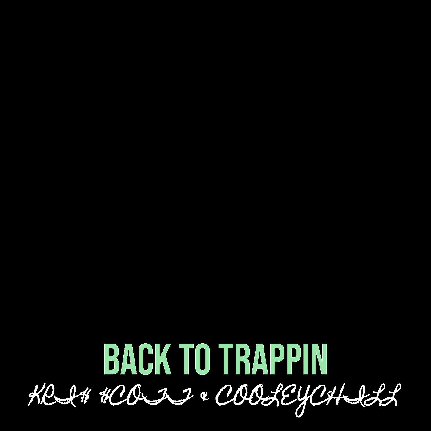 Постер альбома Back to Trappin