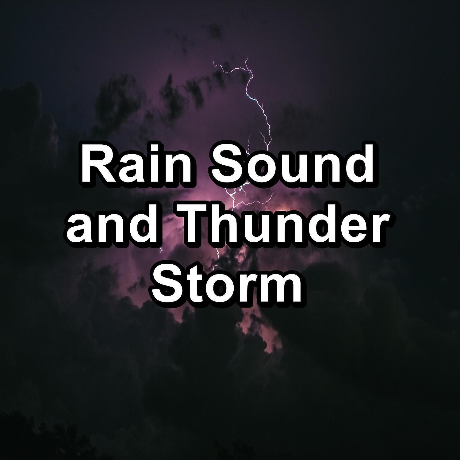 Постер альбома Rain Sound and Thunder Storm