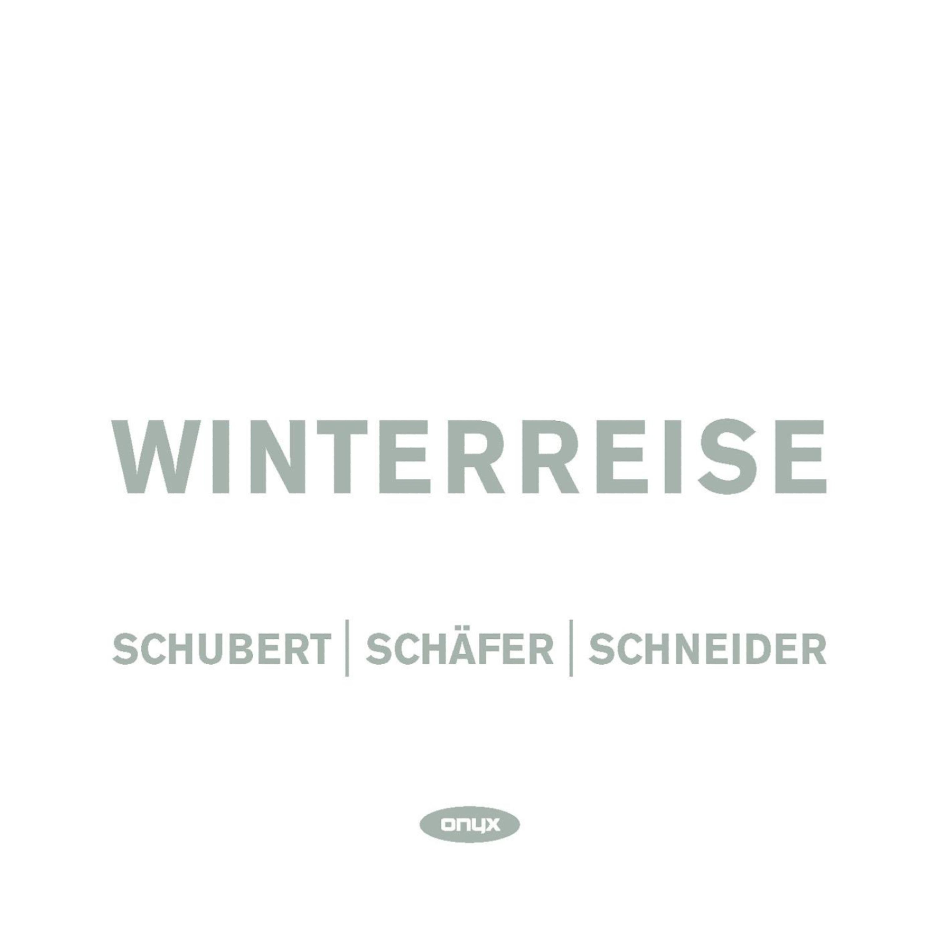 Постер альбома Schubert - Winterreise