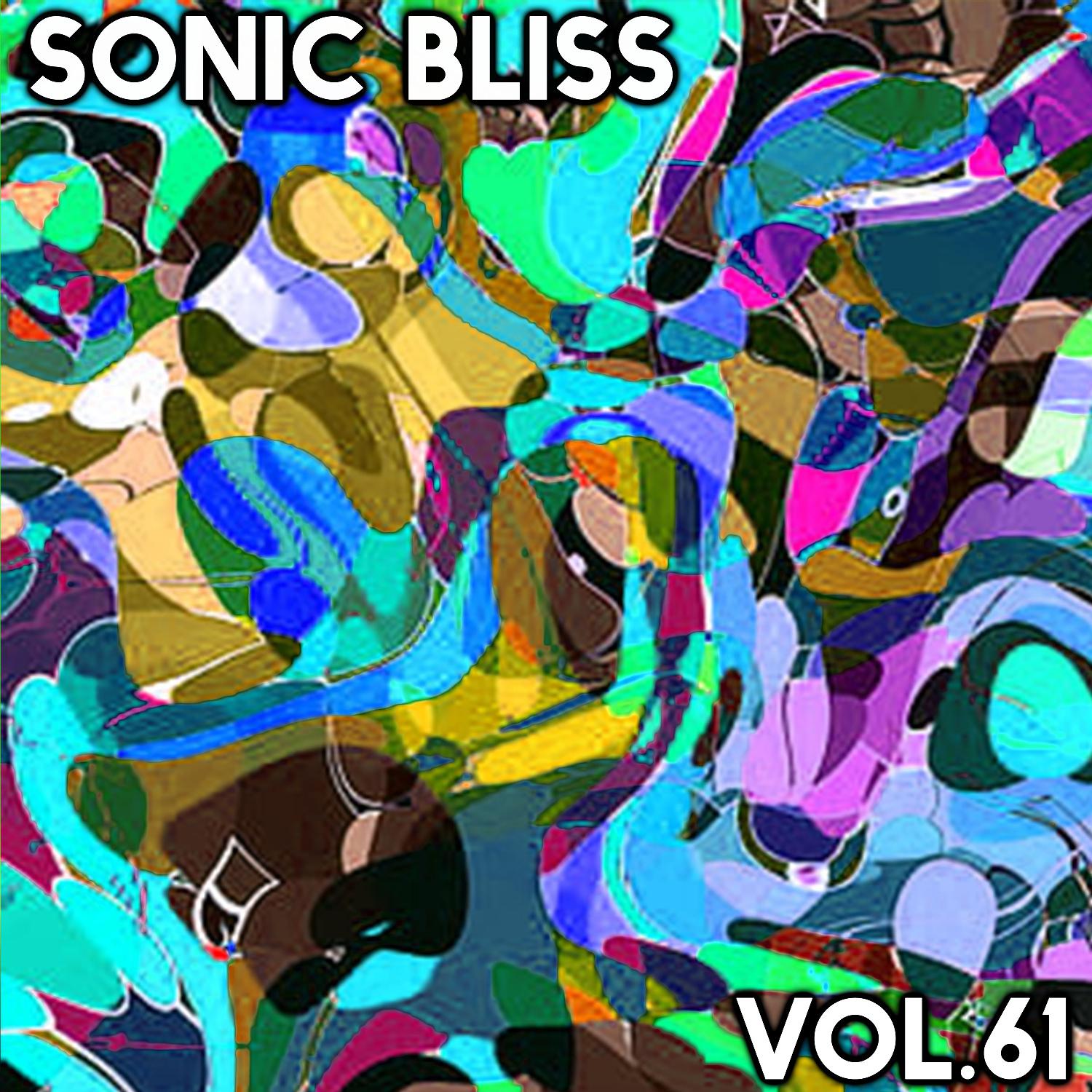 Постер альбома Sonic Bliss, Vol. 61