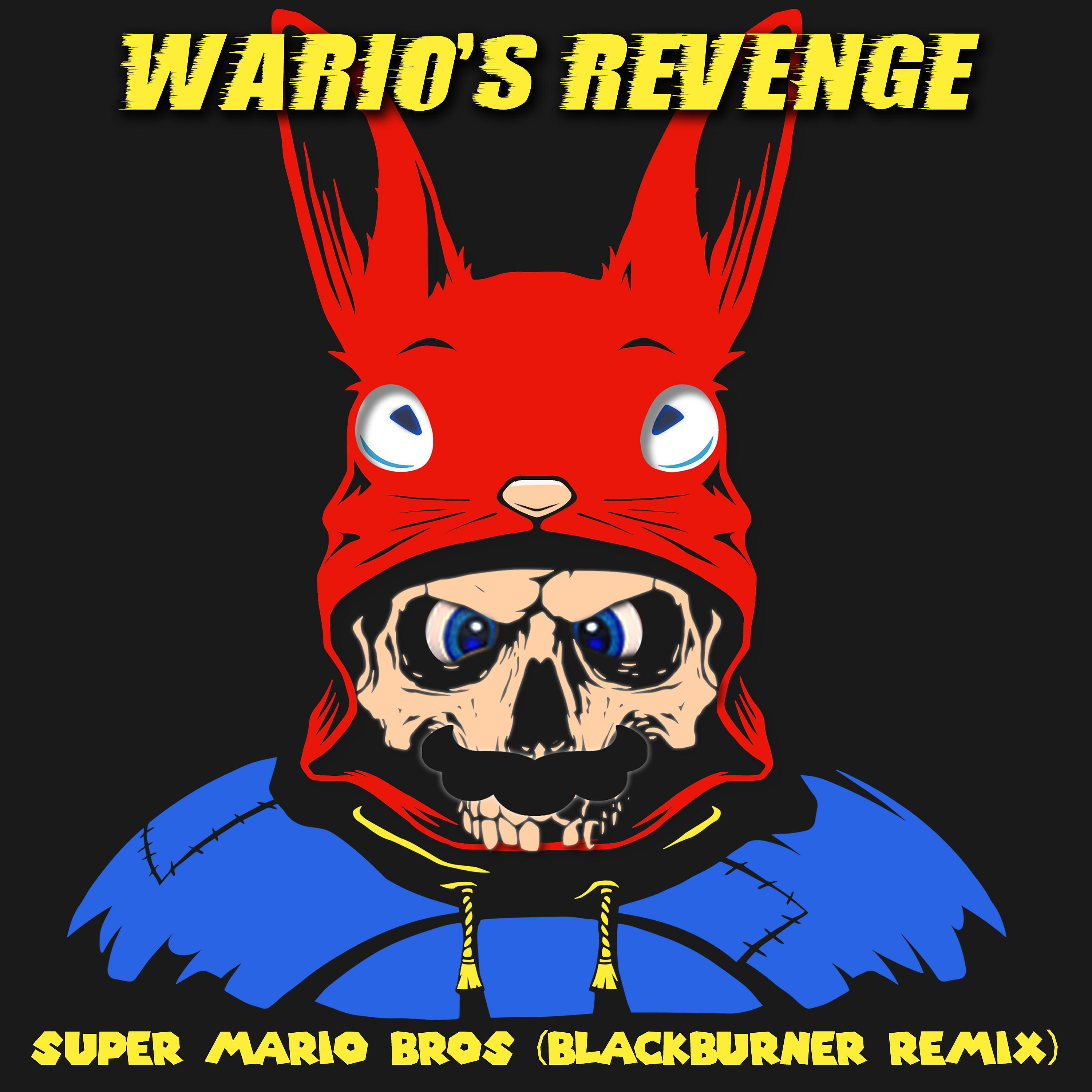 Постер альбома Super Mario Bros (Blackburner Remix)
