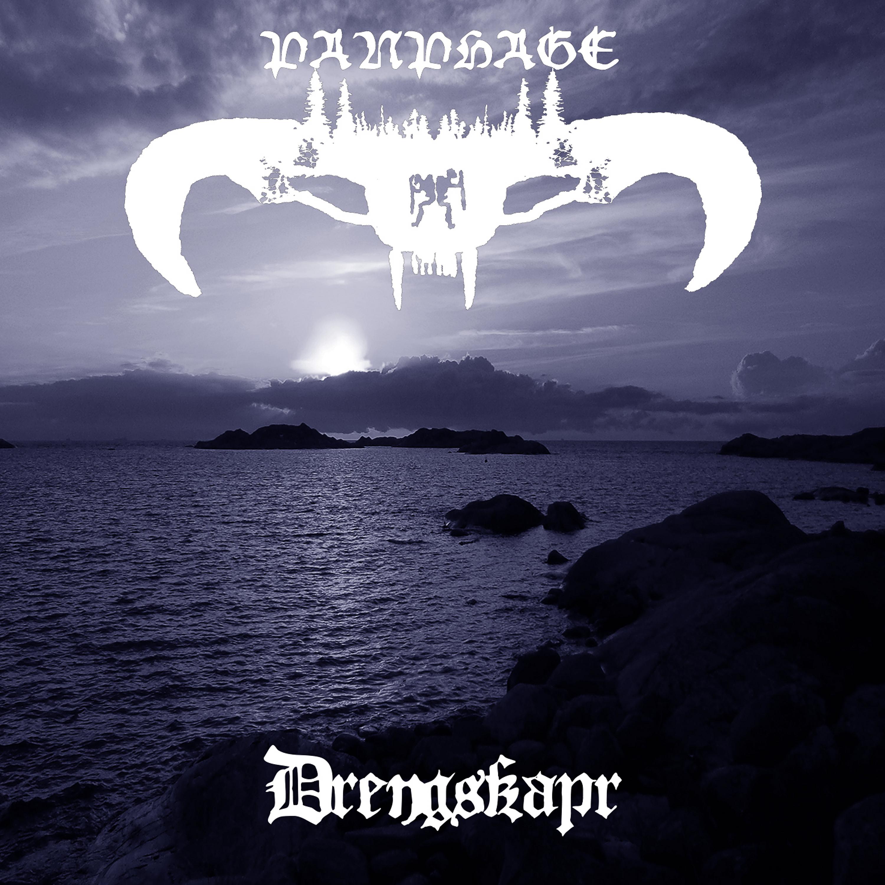 Постер альбома Drengskapr