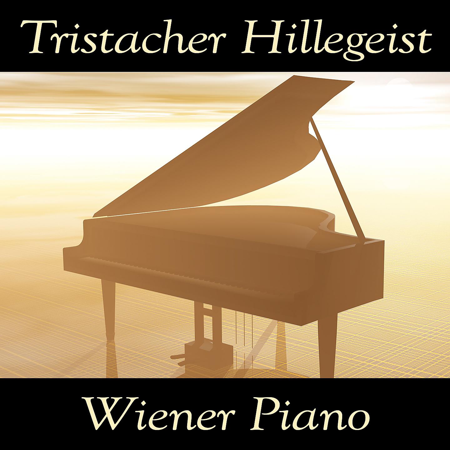 Постер альбома Wiener Piano