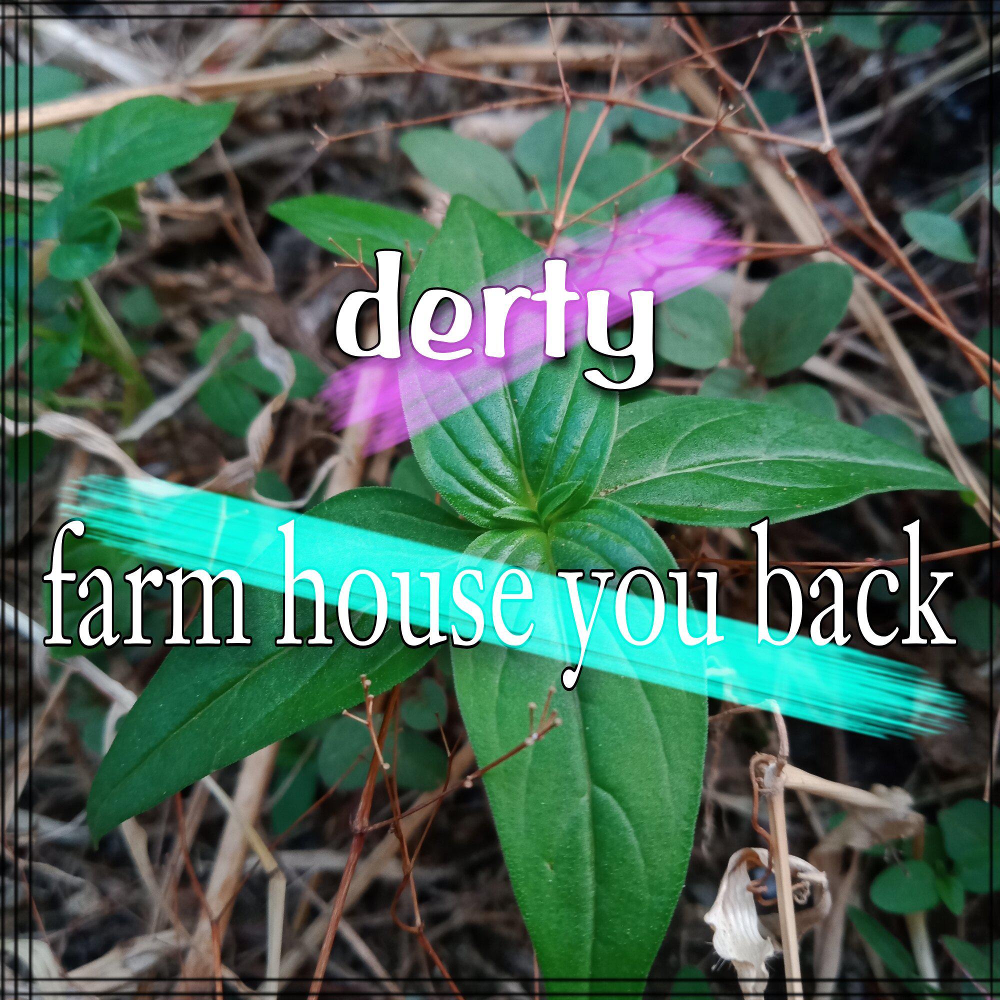 Постер альбома farm house you back
