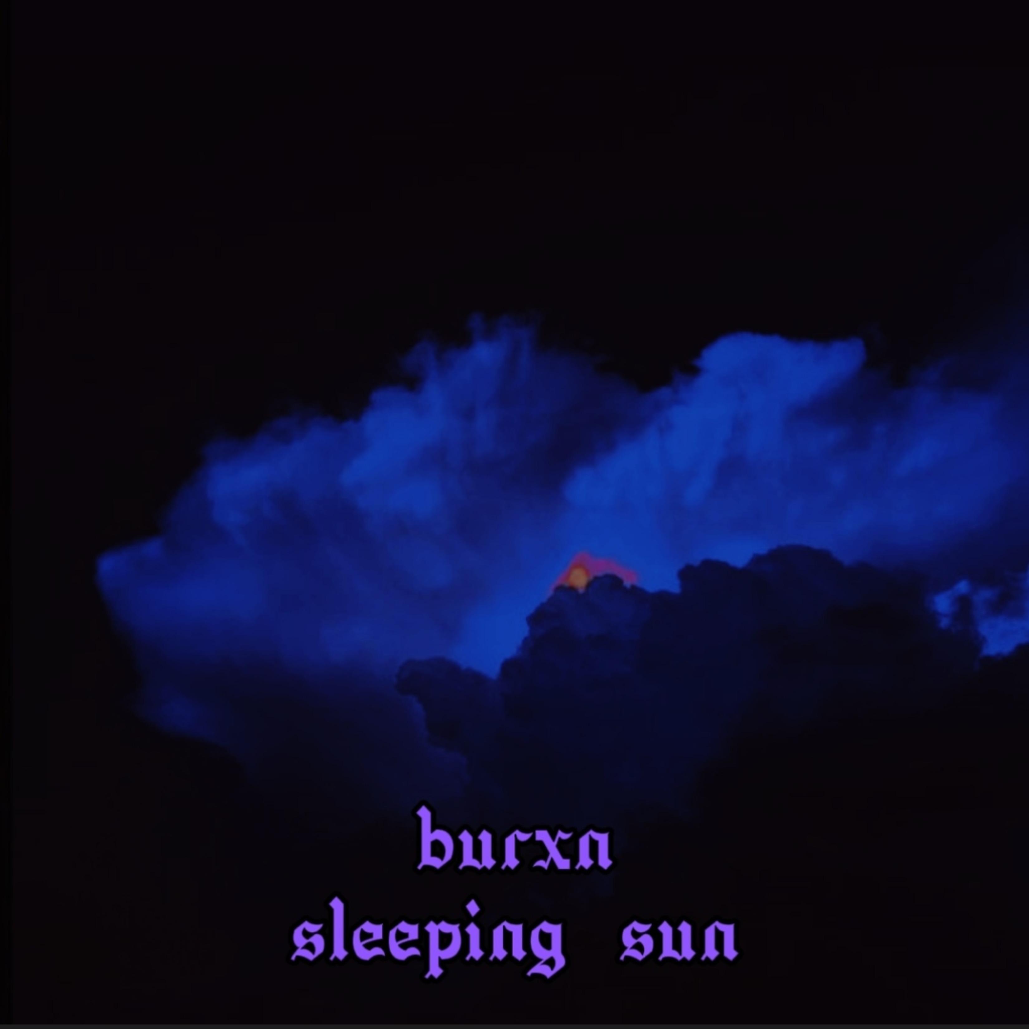 Постер альбома Sleeping Sun