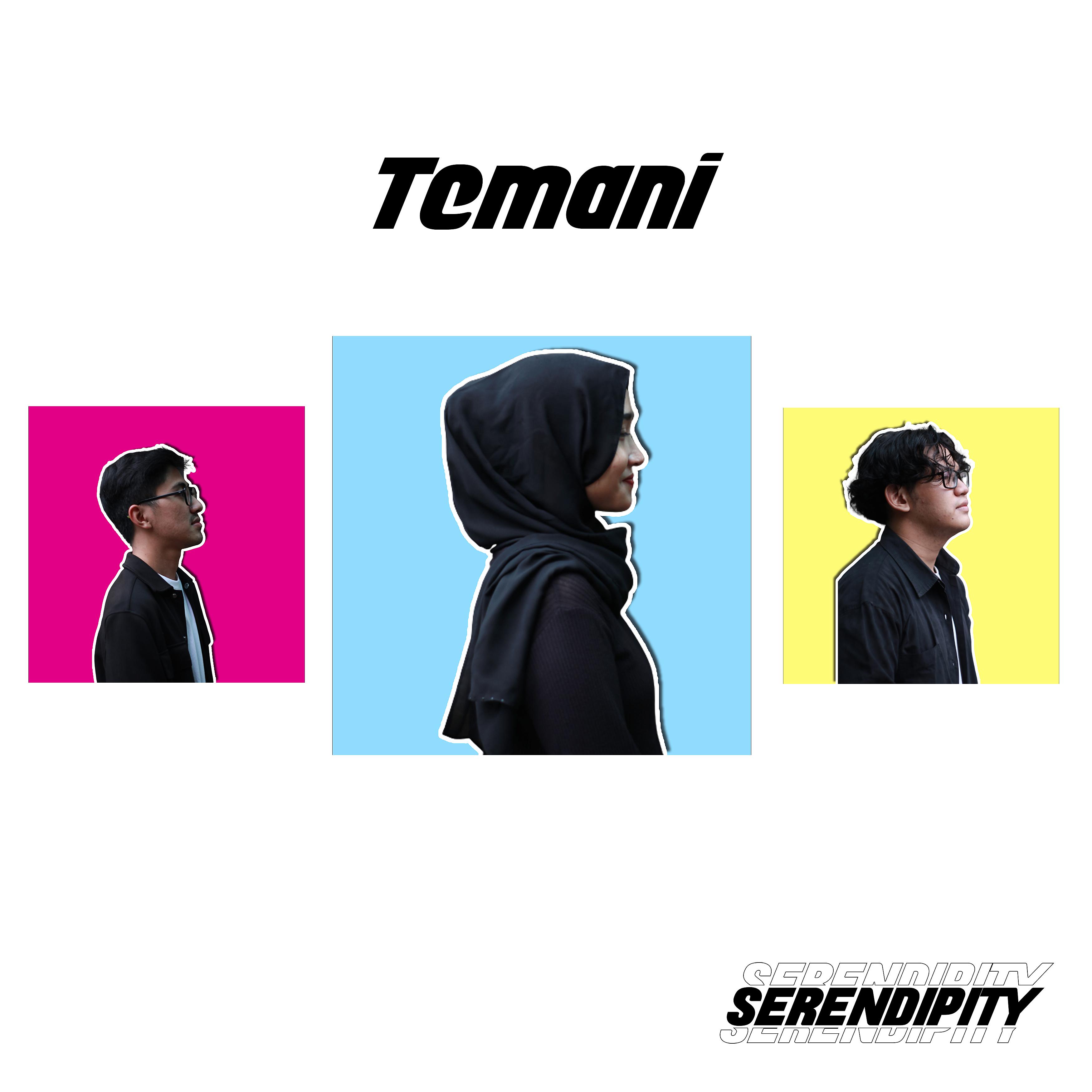 Постер альбома Temani