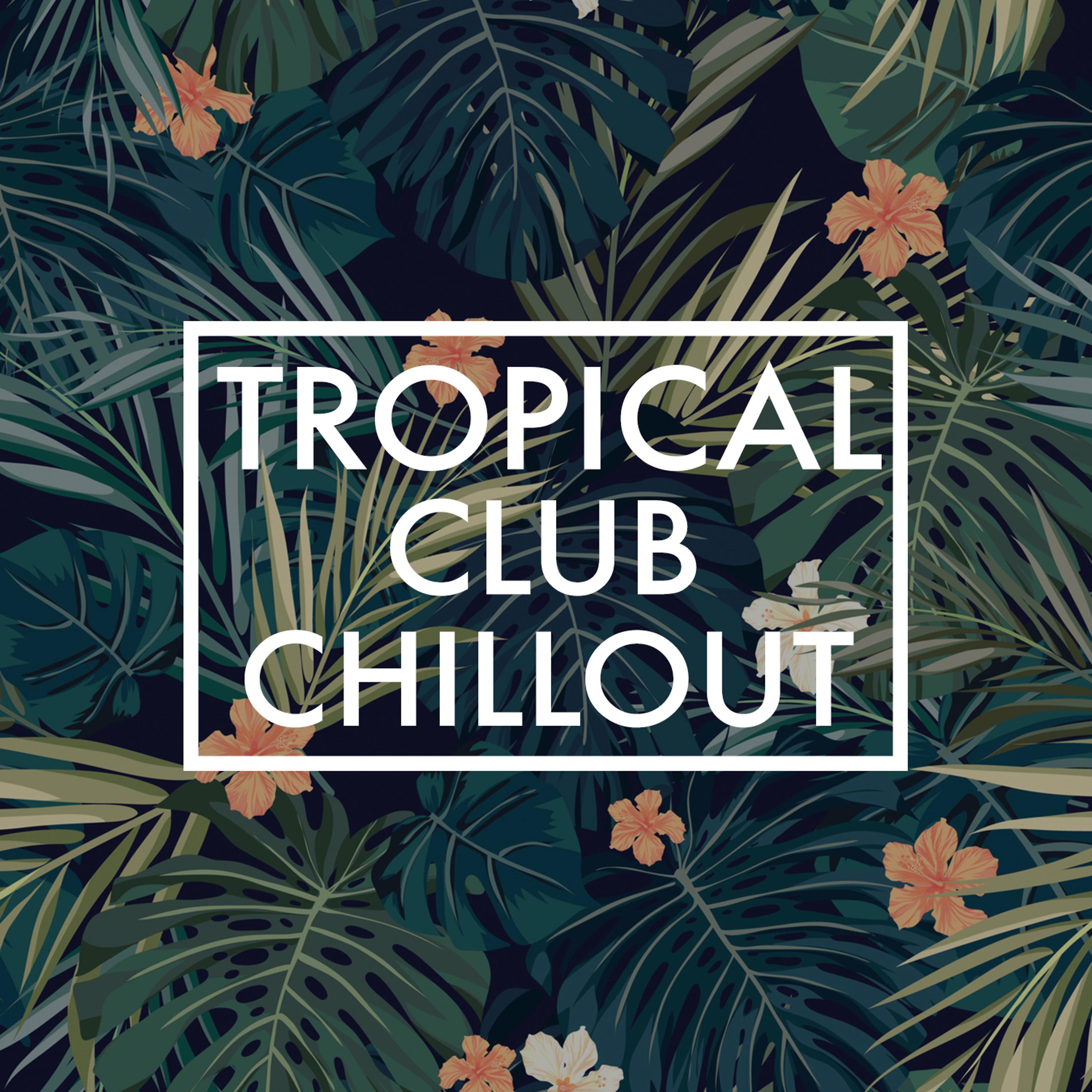Постер альбома Tropical Club Chillout