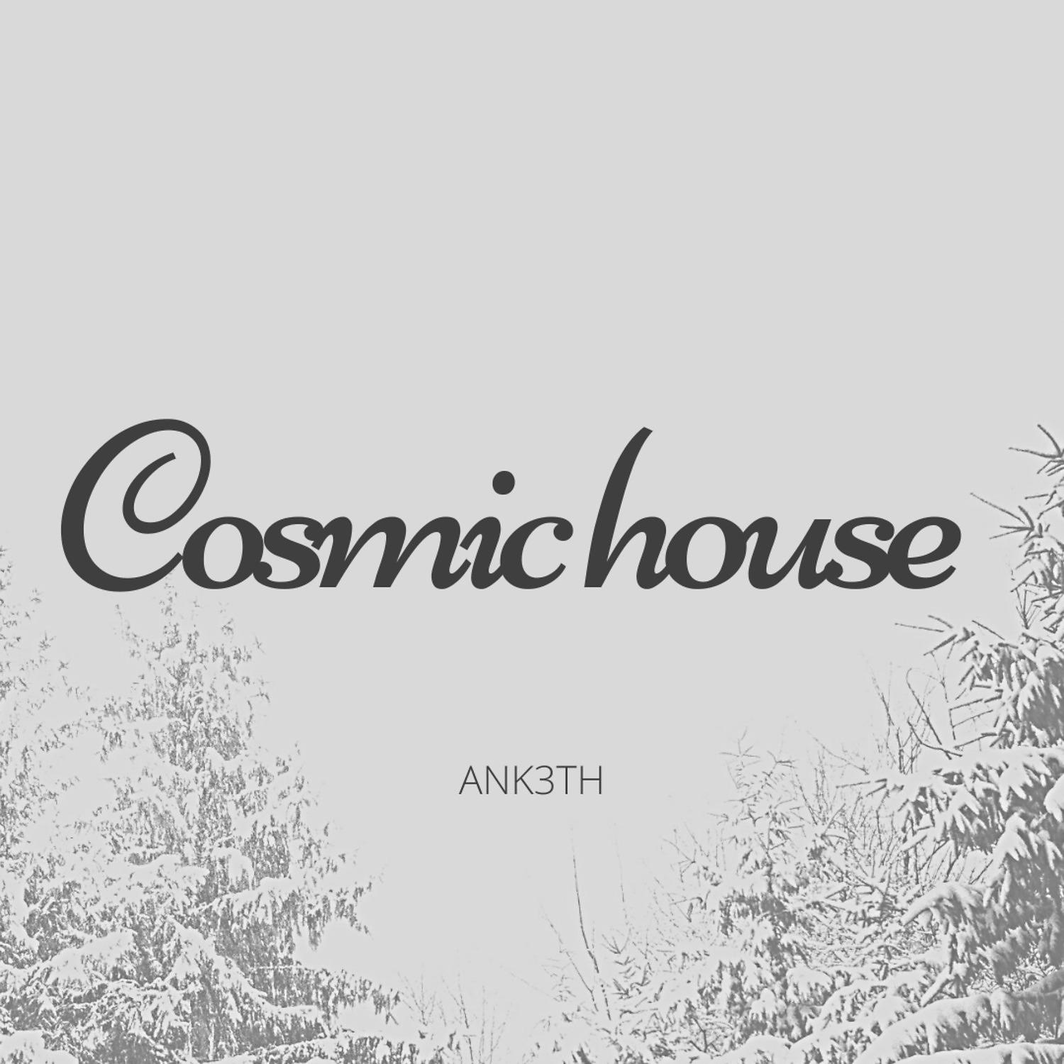 Постер альбома Cosmic House