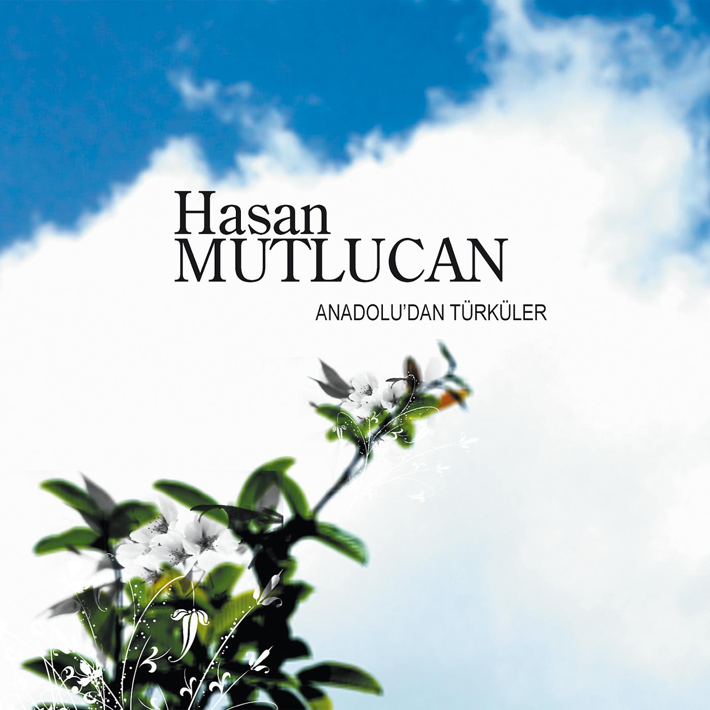 Постер альбома Anadolu'dan Turkuler