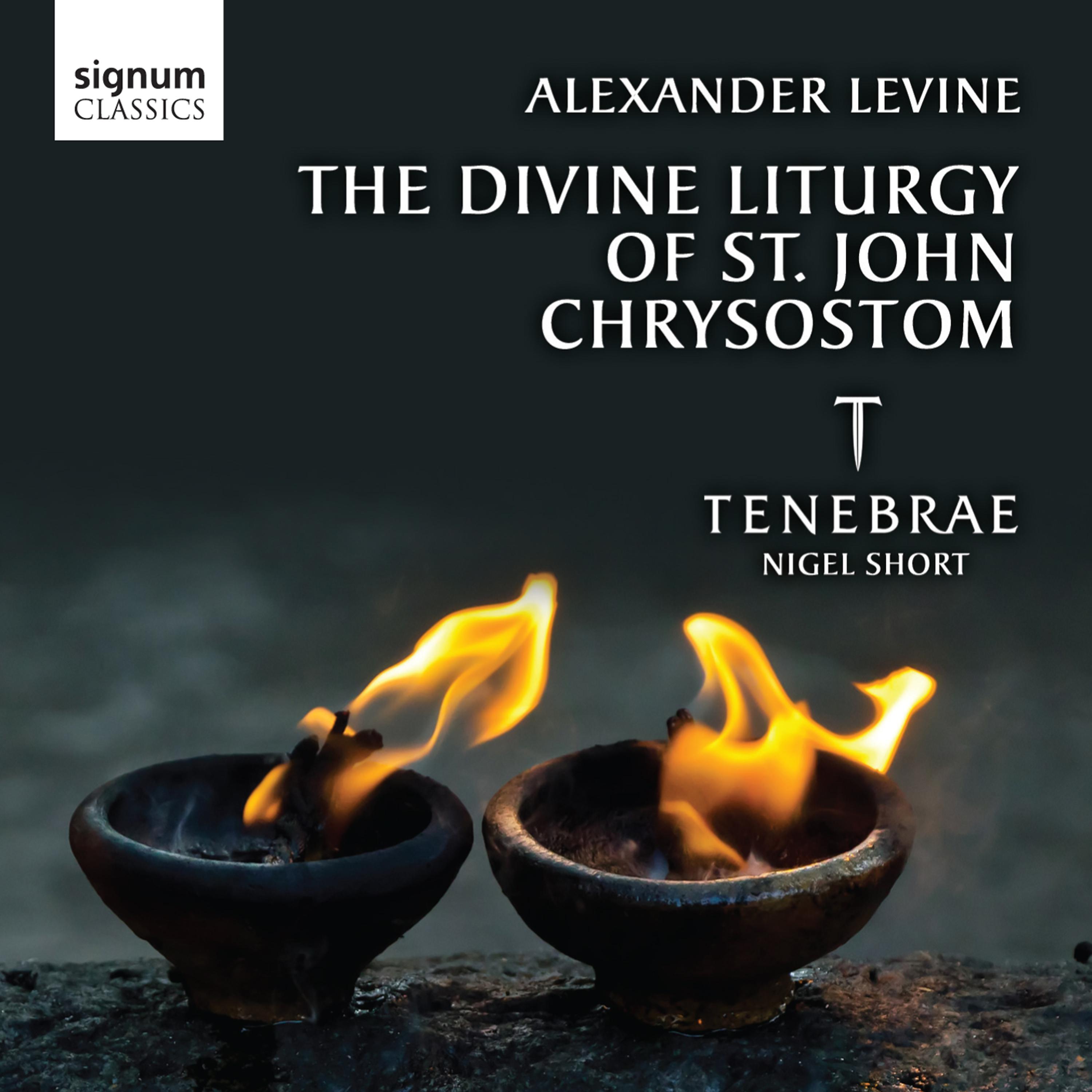 Постер альбома Alexander Levine: The Divine Liturgy of St John Chrysostom