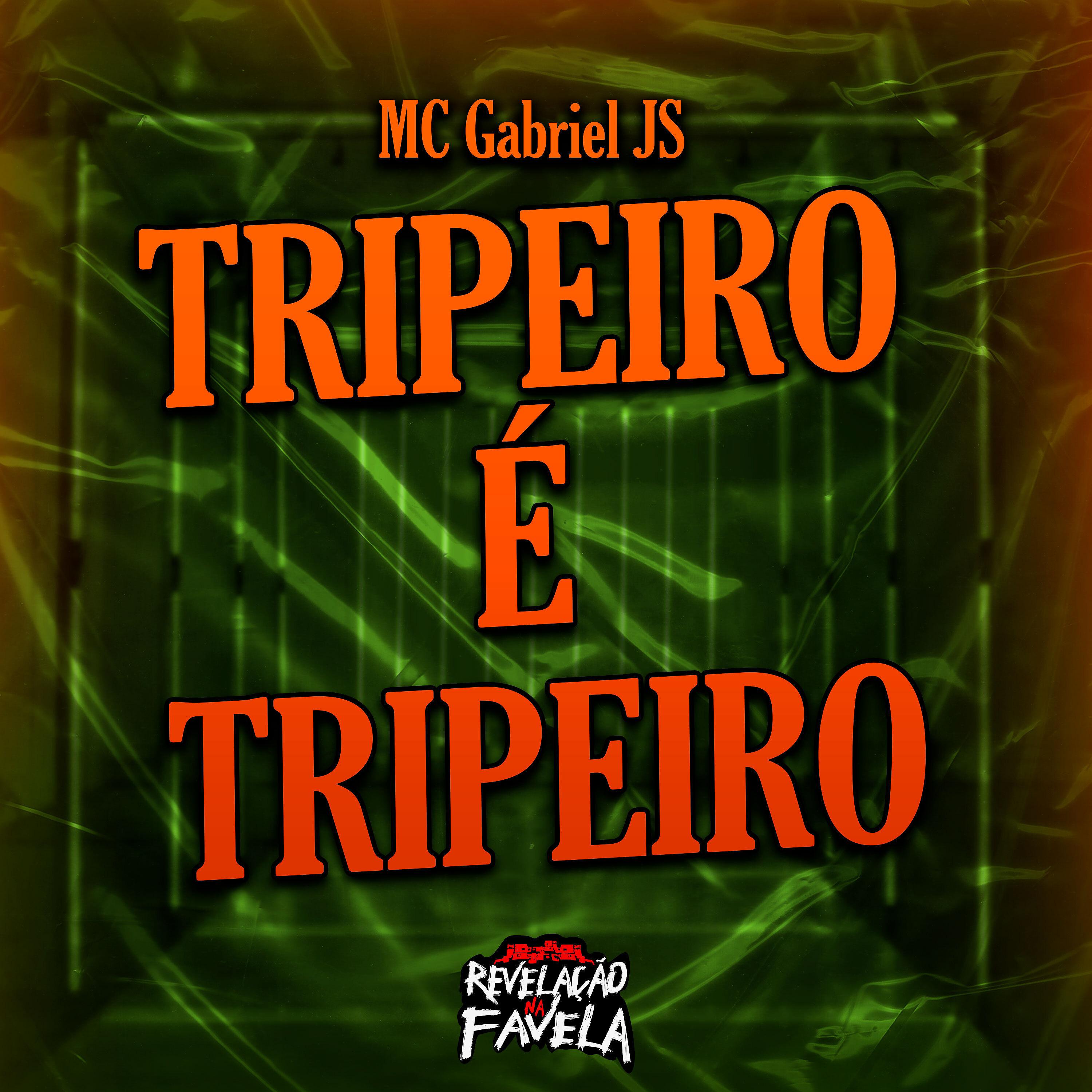 Постер альбома Tripeiro É Tripeiro