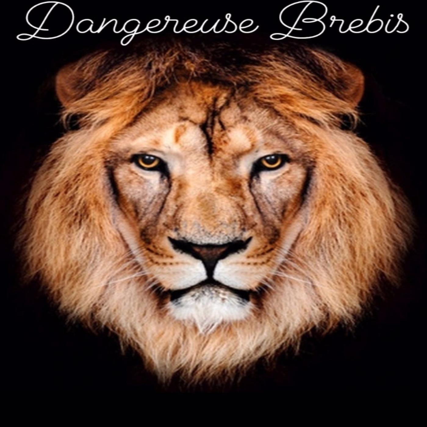 Постер альбома Dangereuse Brebis