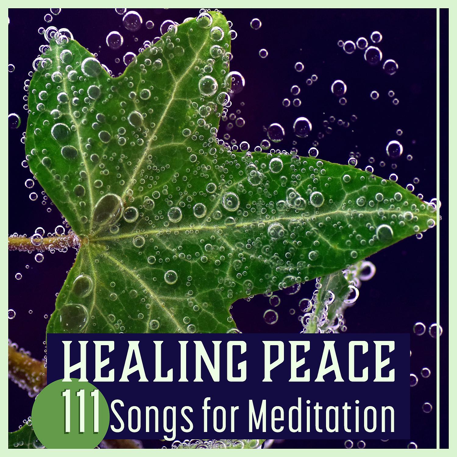 Постер альбома Healing Peace – 111 Songs for Meditation: Calm Soul, Little Vision, Zen Drifting, Spiritual Serenity, Buddha Oasis