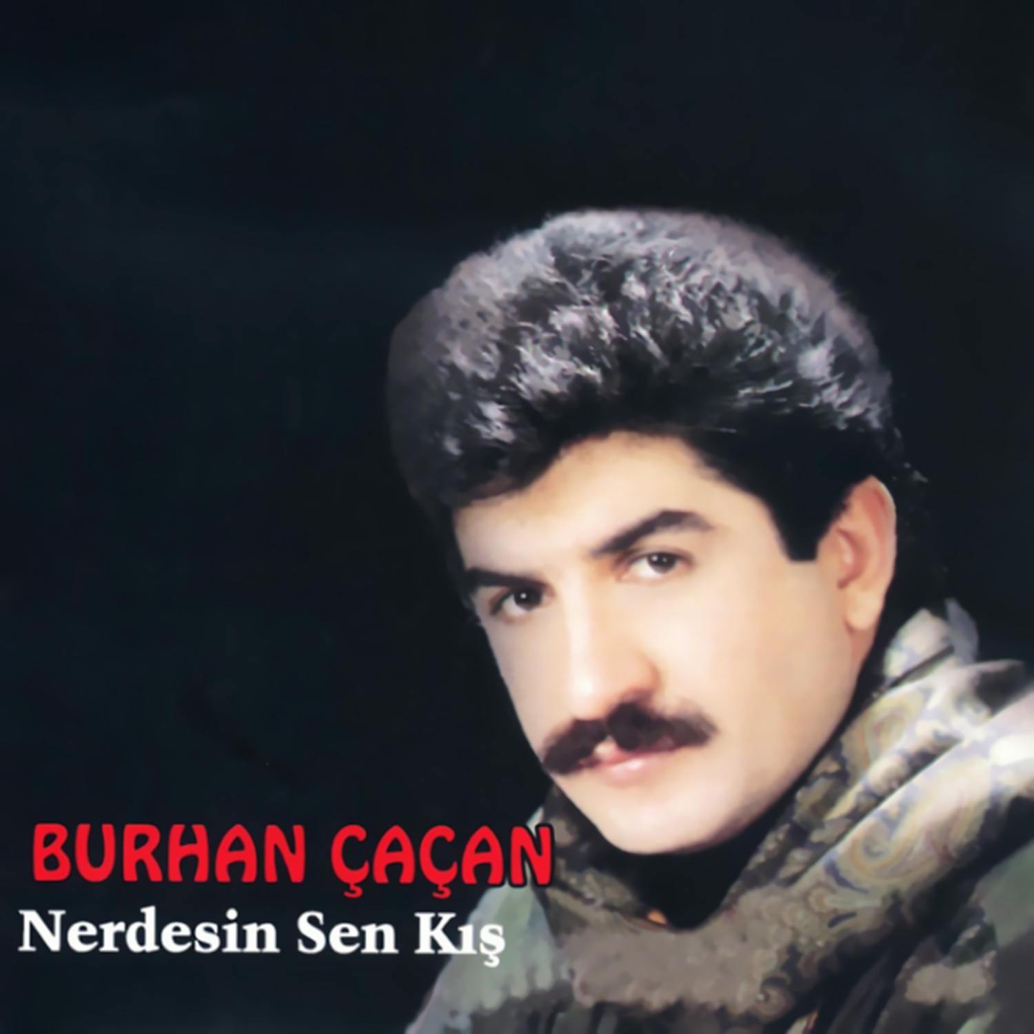 Постер альбома Sen Nerdesin - Kış