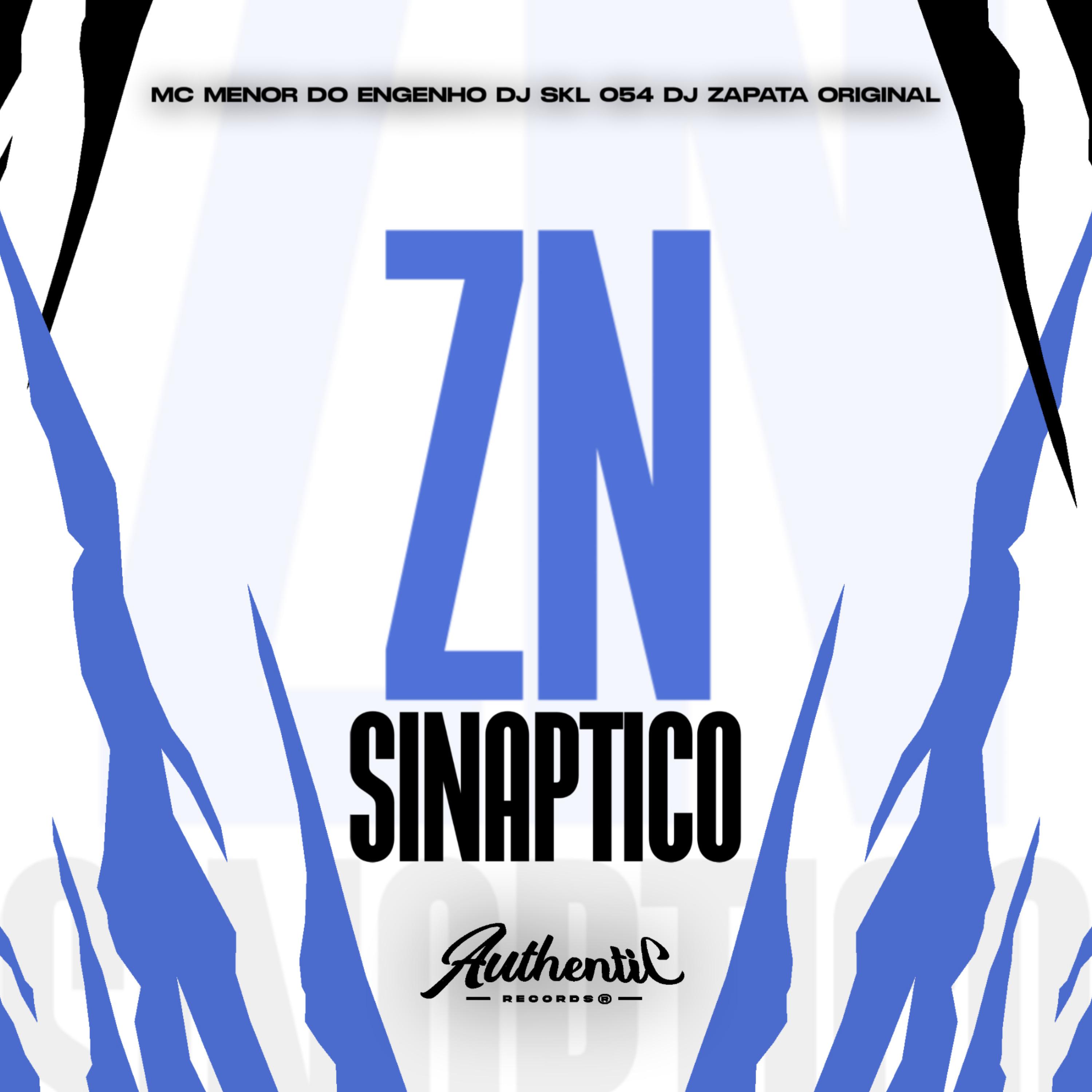 Постер альбома Zn Sinaptico