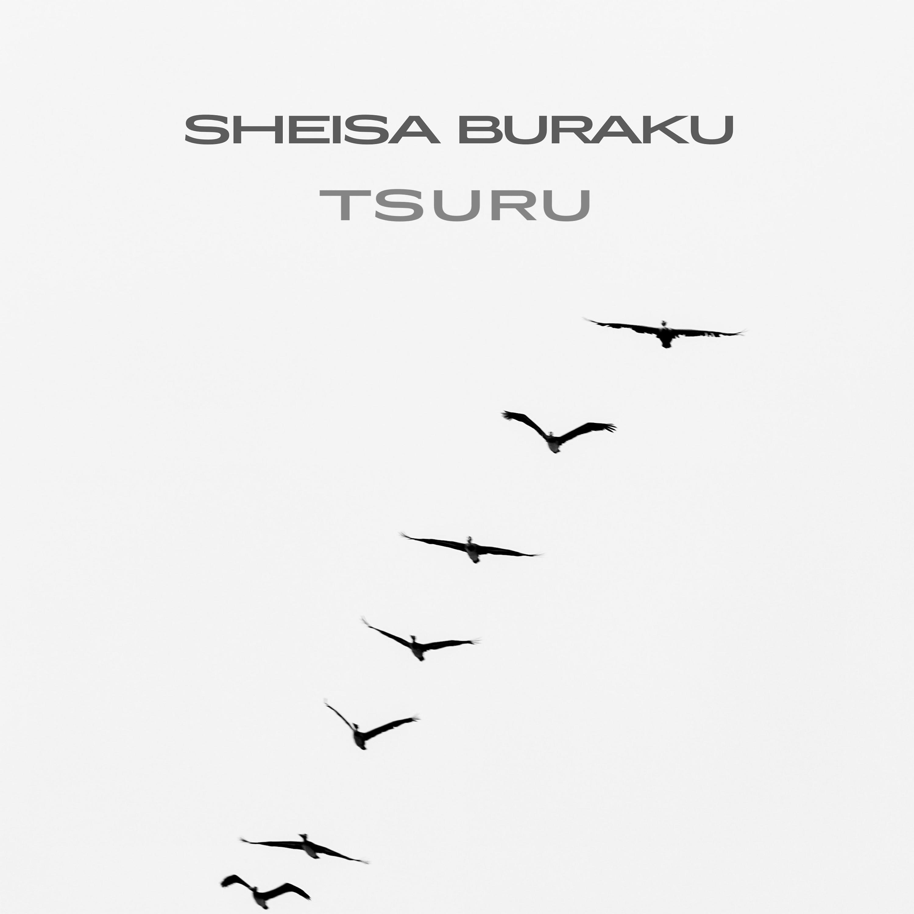Постер альбома Tsuru