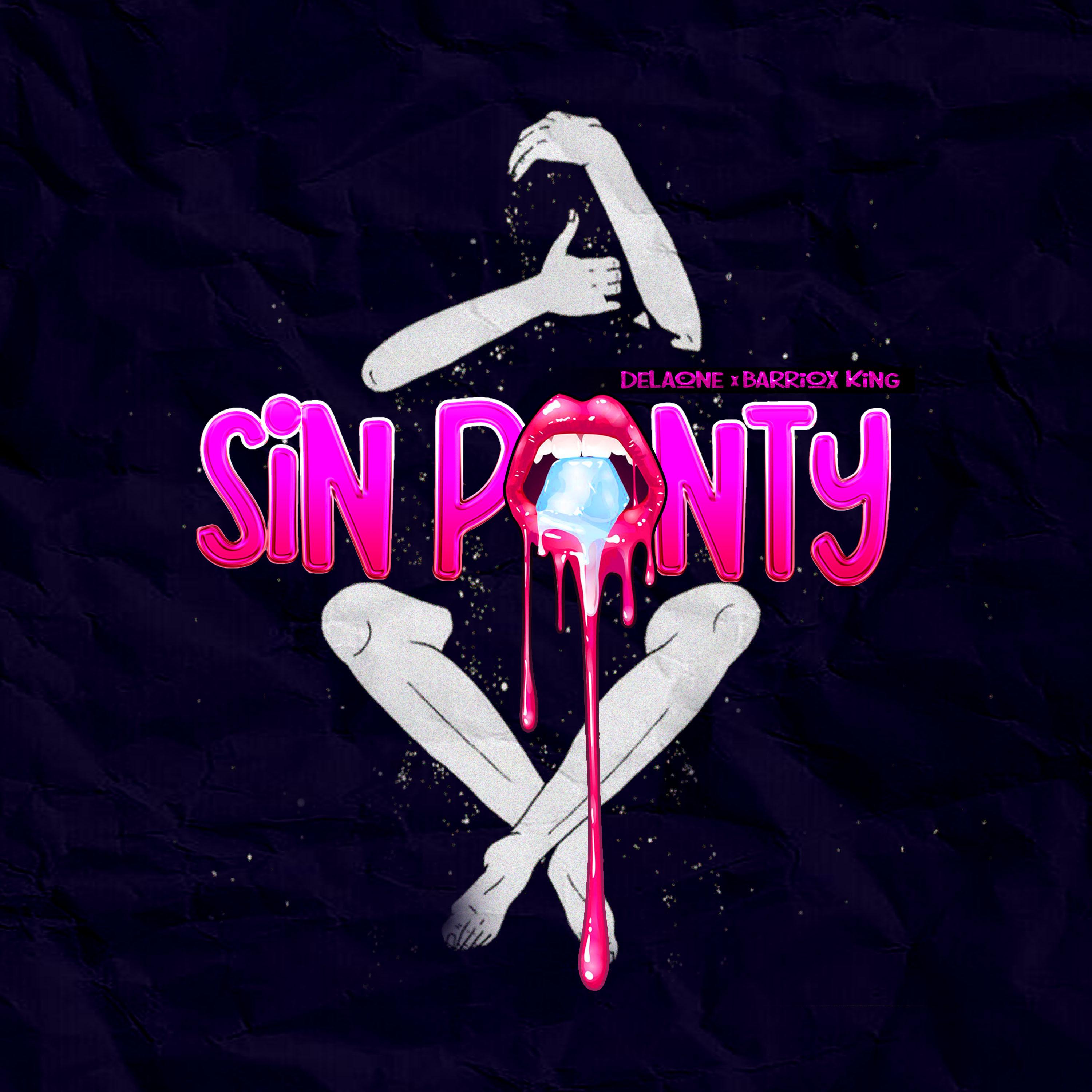 Постер альбома Sin Panty
