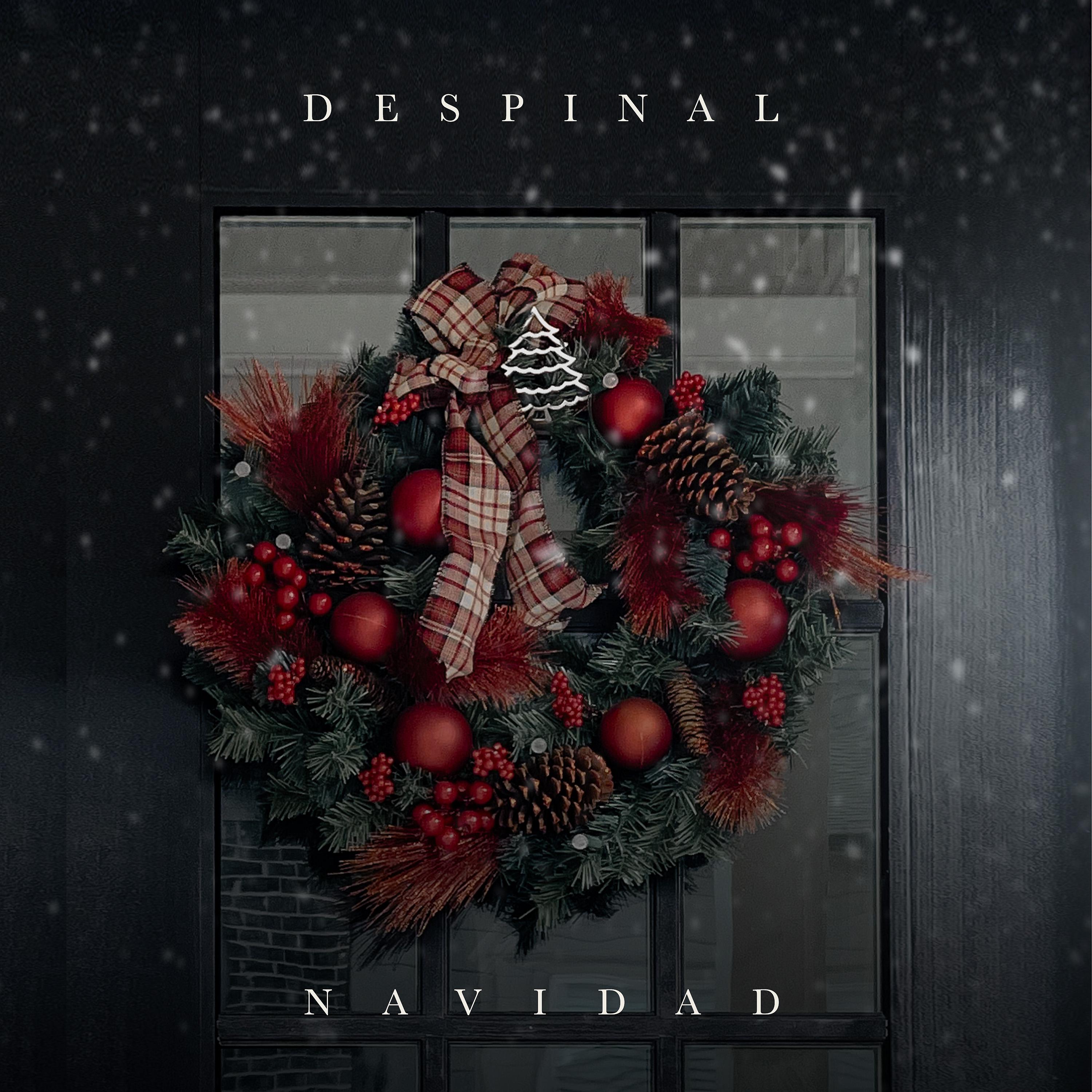 Постер альбома Navidad