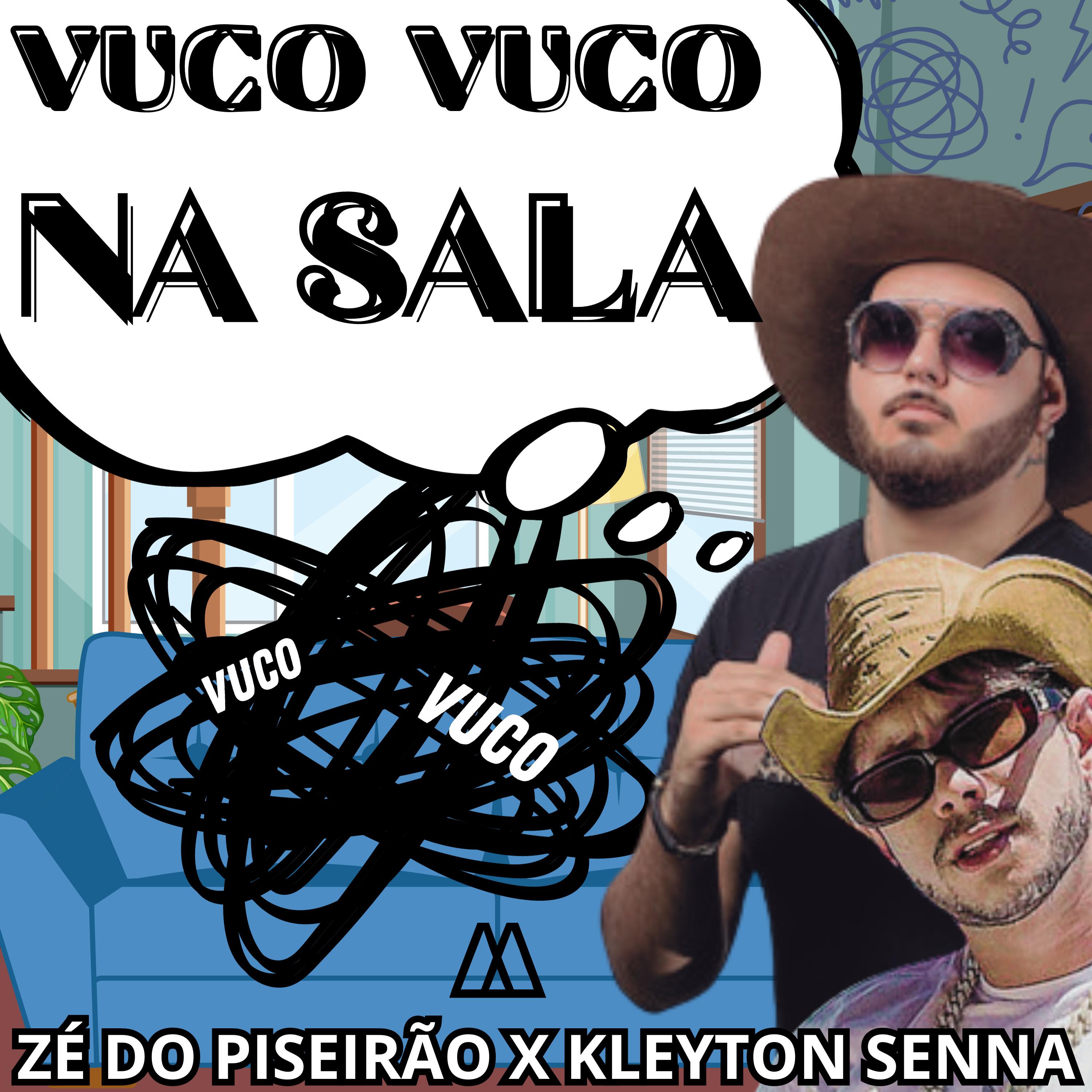 Постер альбома Vuco Vuco na Sala