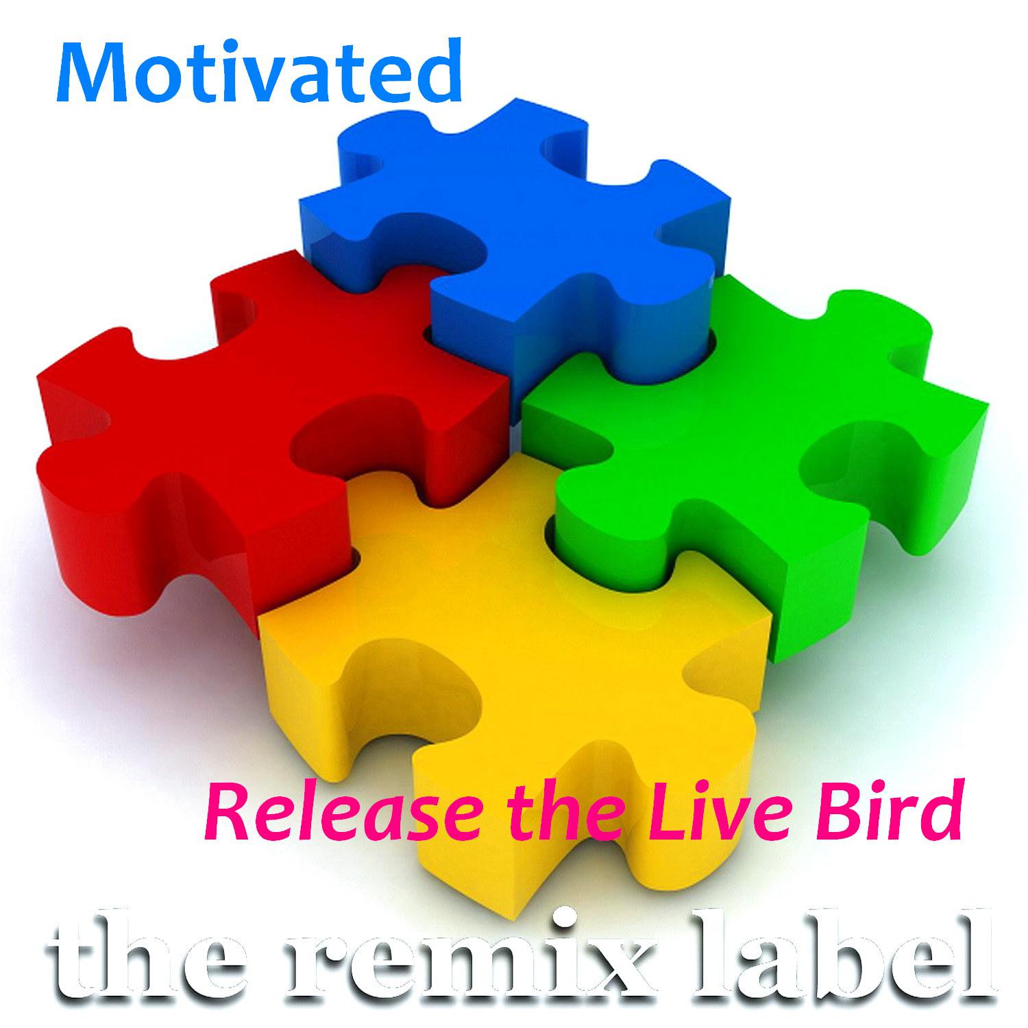 Постер альбома Release the Live Bird (Electro House Mix)