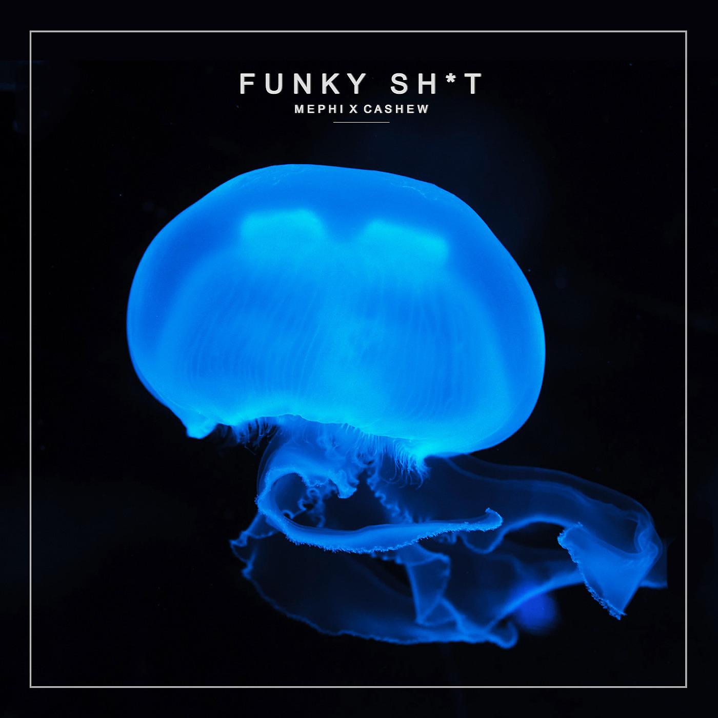 Постер альбома Funky Shit