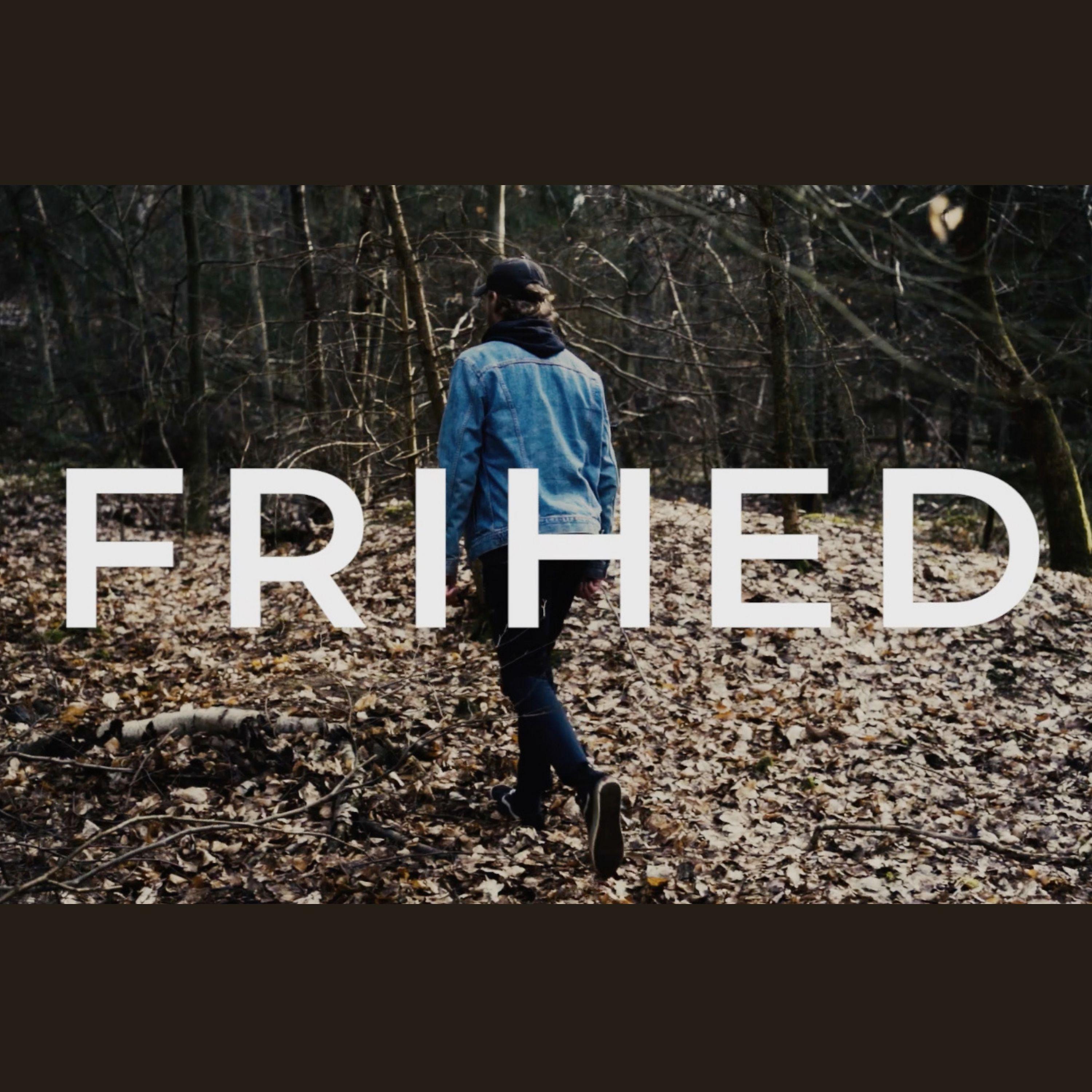 Постер альбома Frihed