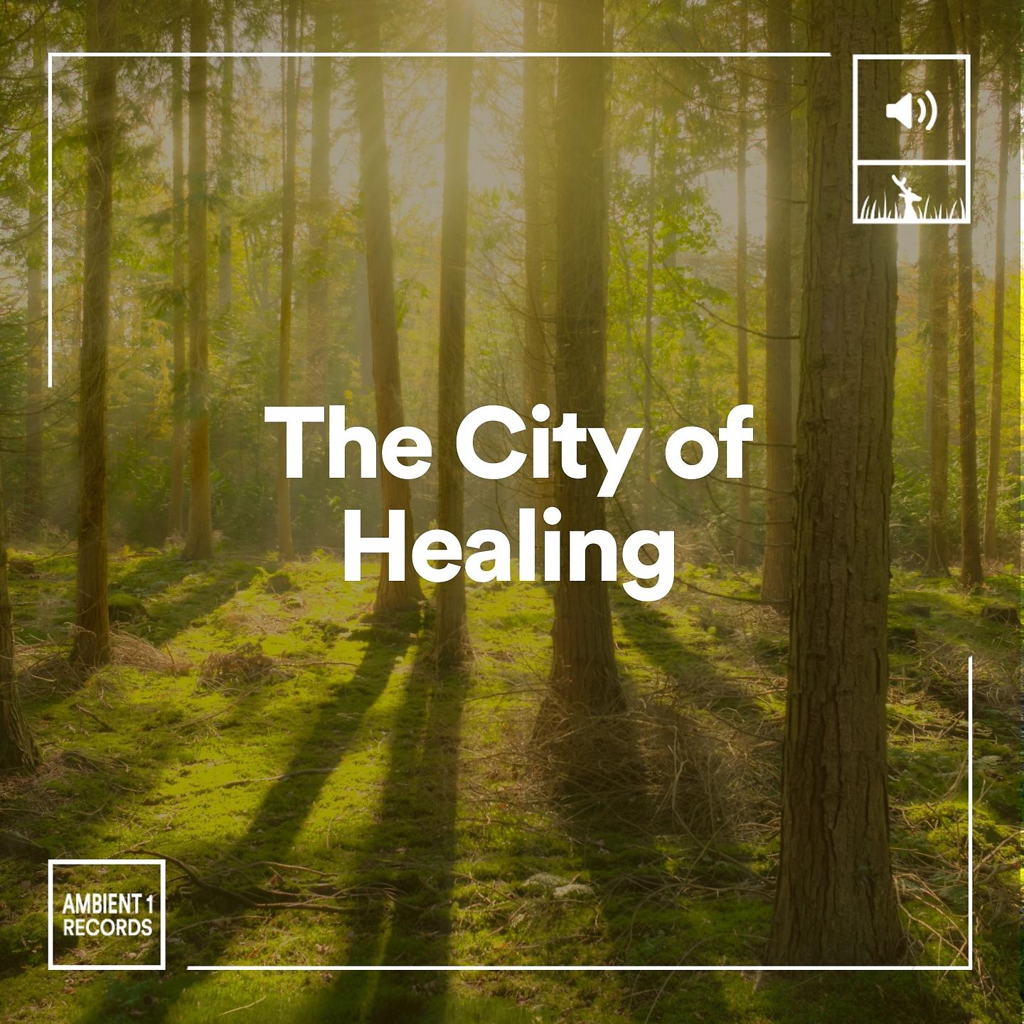 Постер альбома The City of Healing