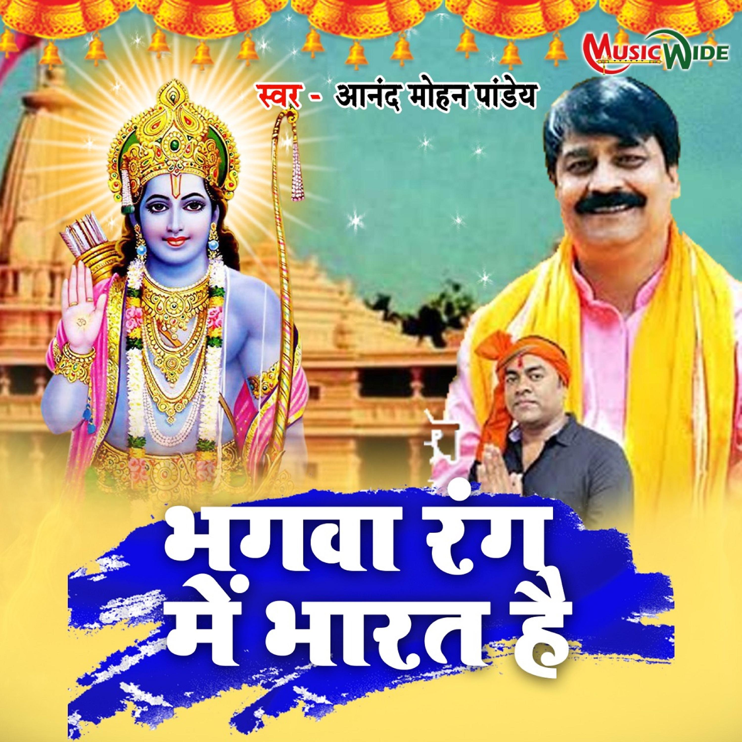 Постер альбома Bhagwa Rang Me Bharat Hai - Single