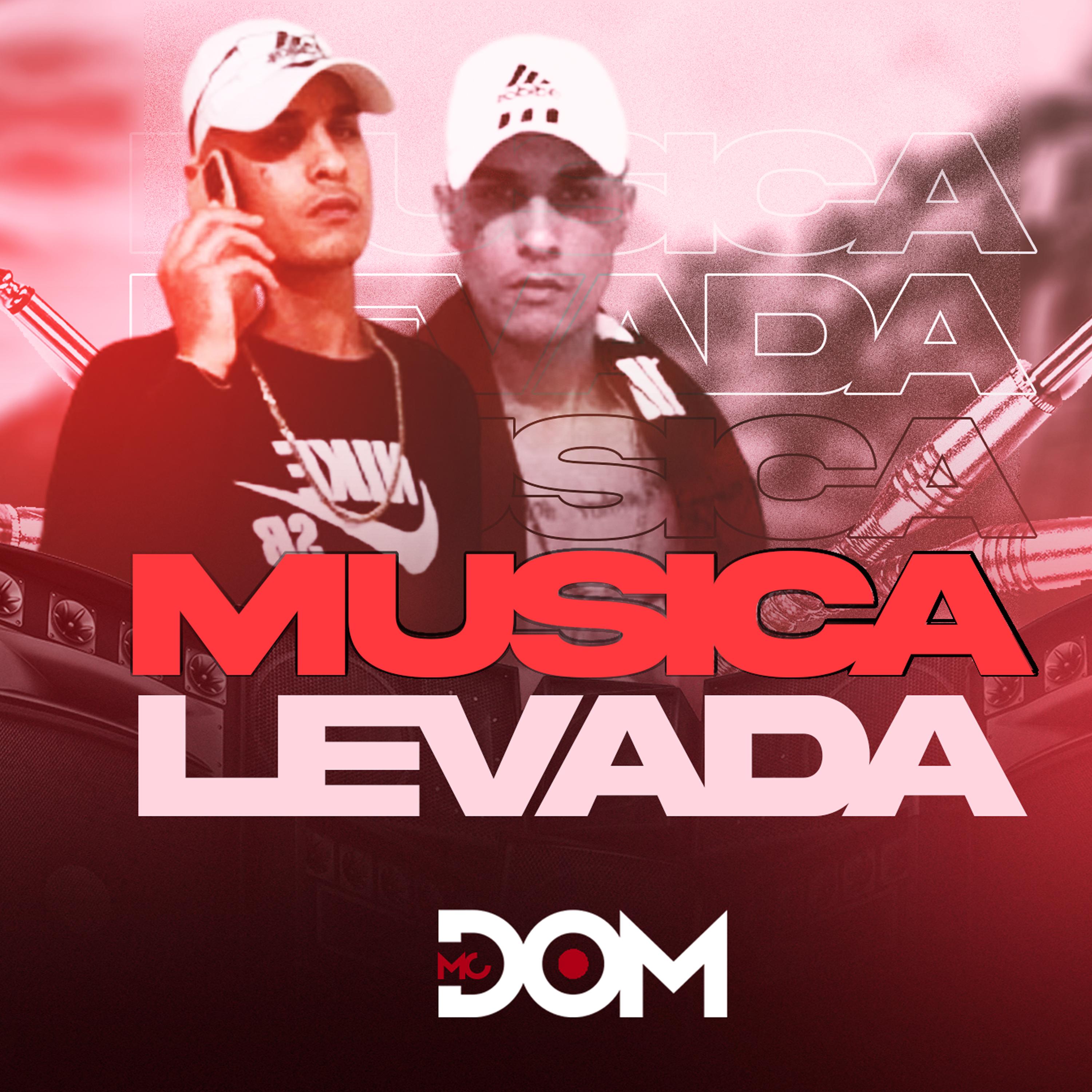 Постер альбома Musica Levada