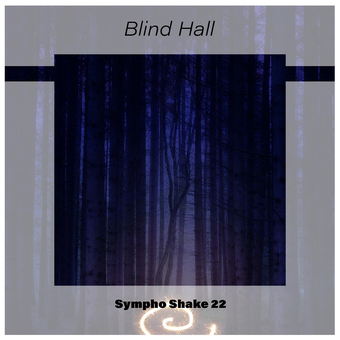 Постер альбома Blind Hall Sympho Shake 22