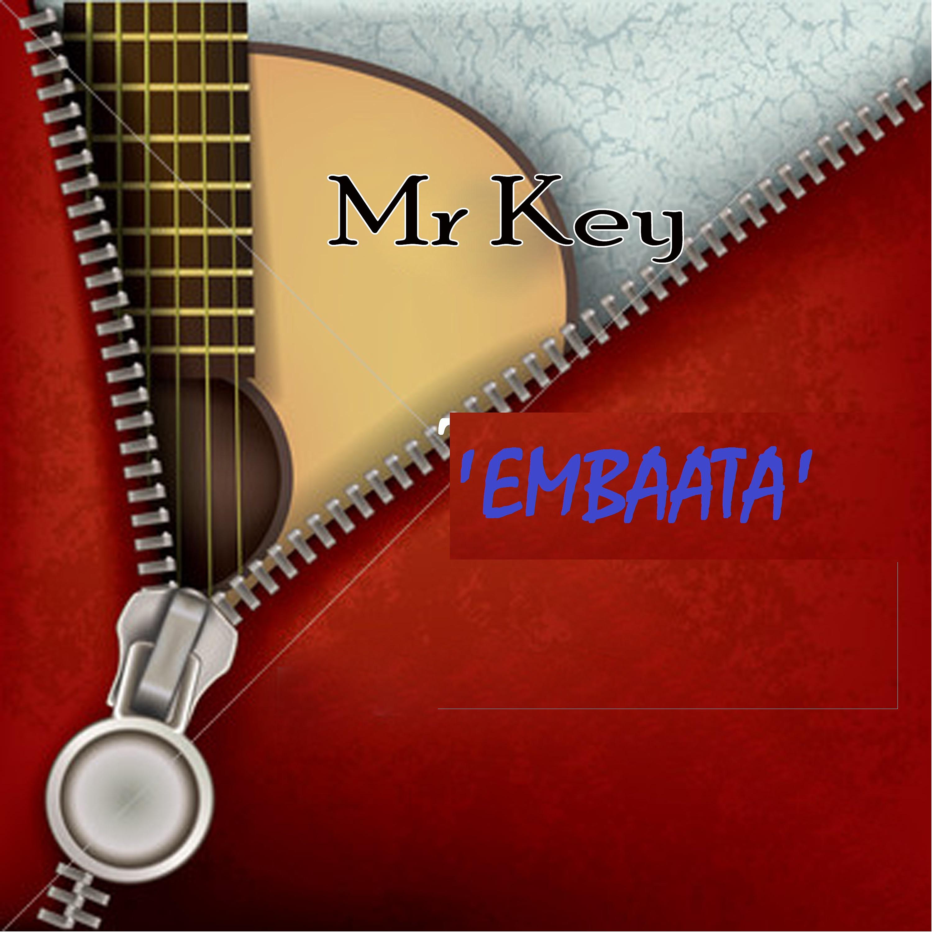 Постер альбома Embaata