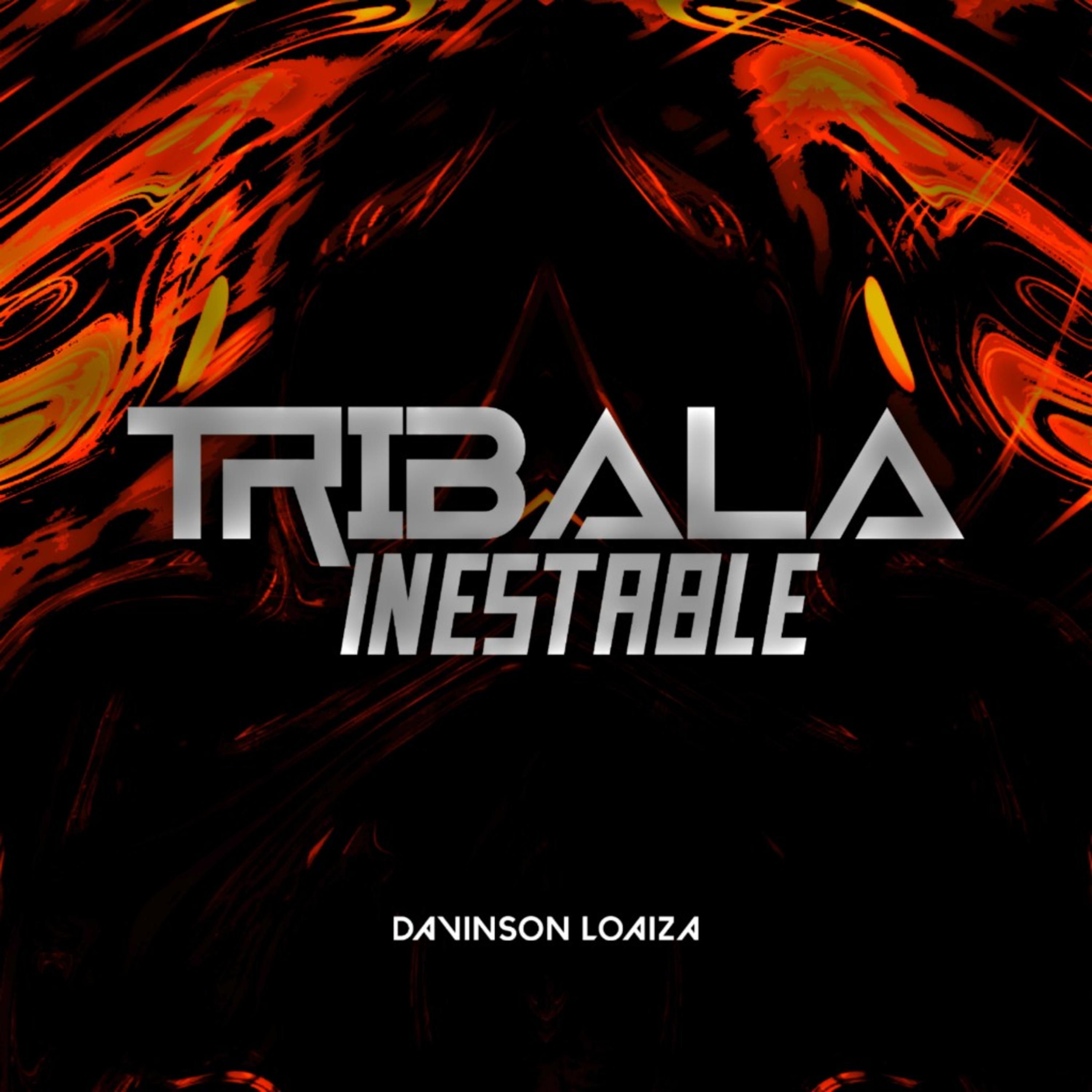 Постер альбома Tribala Inestable