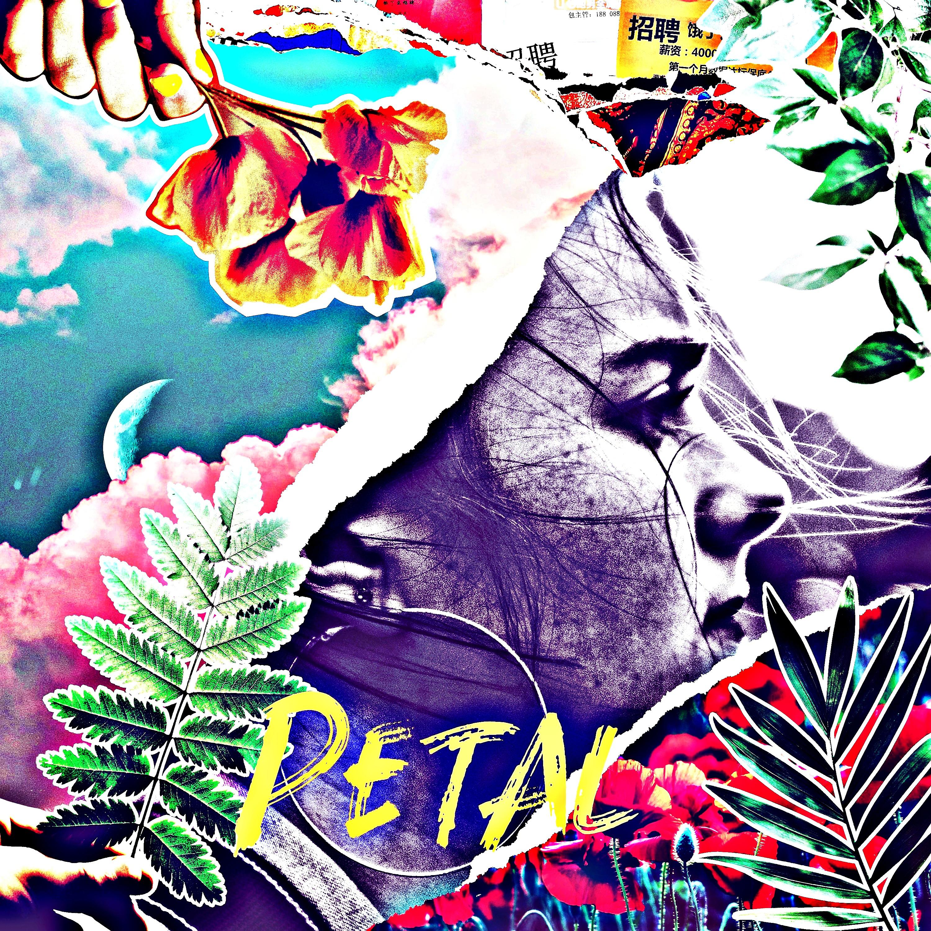 Постер альбома Petal
