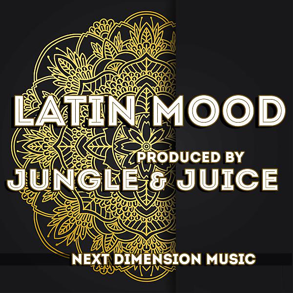 Постер альбома Latin Mood