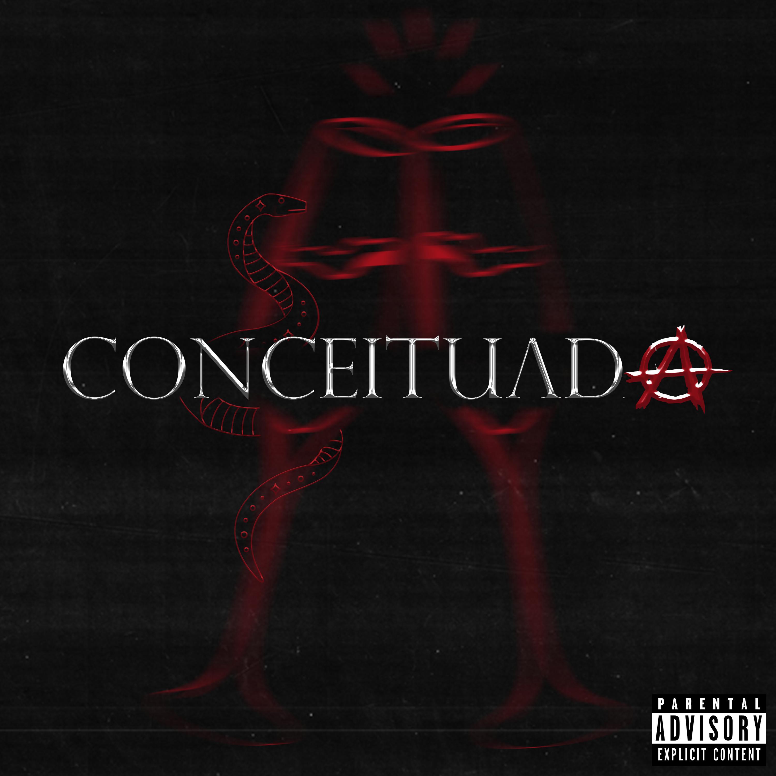 Постер альбома Conceituada