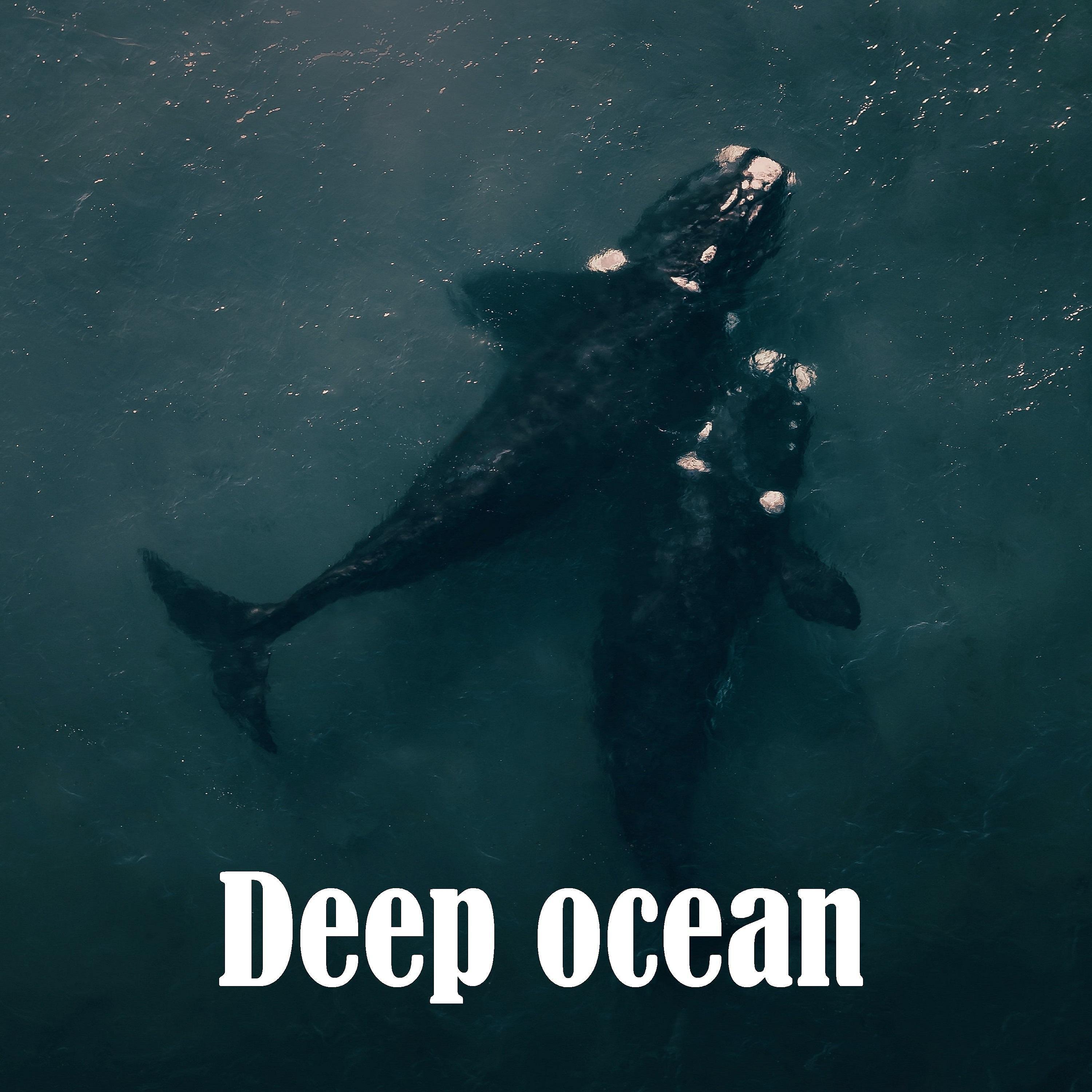 Постер альбома Deep ocean