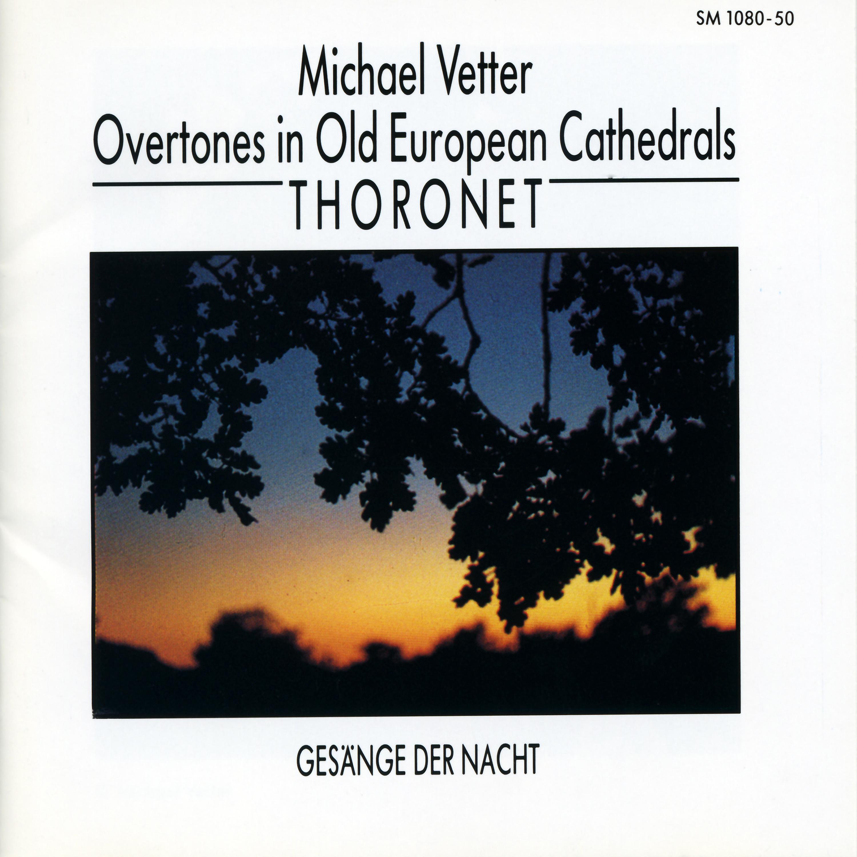 Постер альбома Overtones in Old European Cathedrals: Thoronet