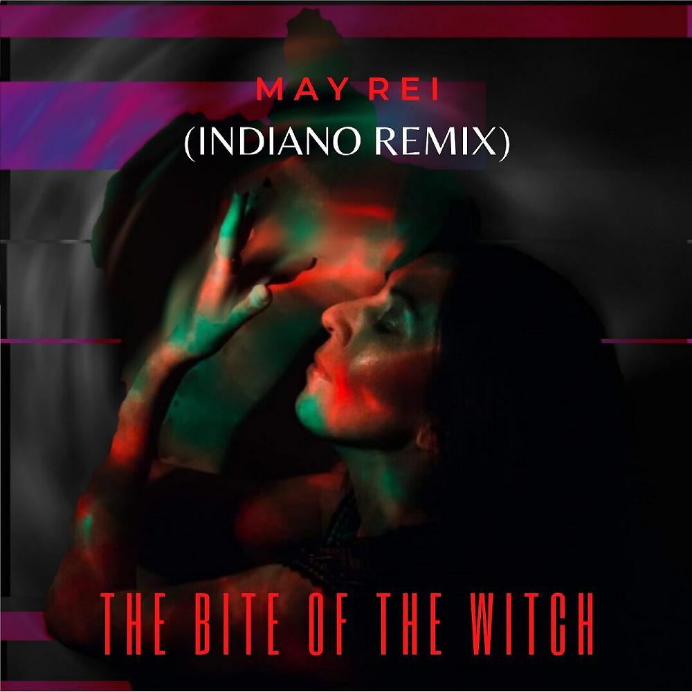 Постер альбома The Bite of the Witch (Indiano Remix)
